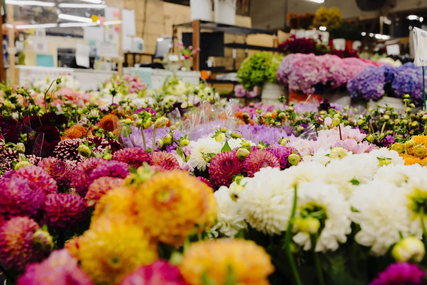 Bloomin' News — The Original Los Angeles Flower Market