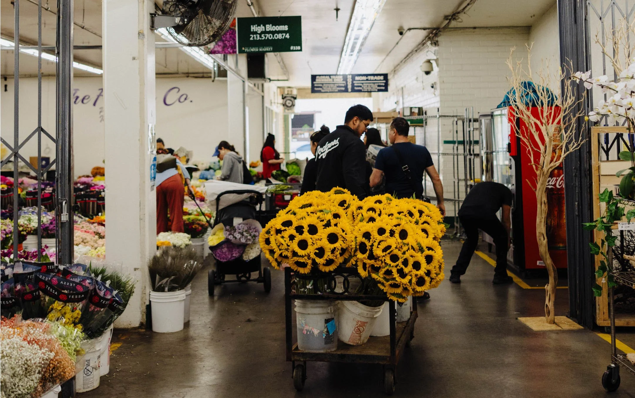 Flower District Morning Loop: Blooms, Coffee, and Easy DTLA Errands — New to DTLA blog