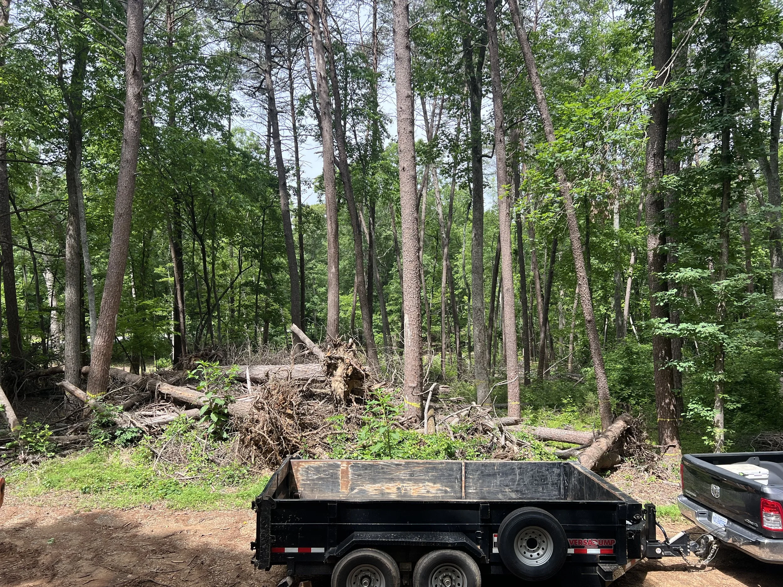 Wooded Lot Winston Salem NC, Pfafftown