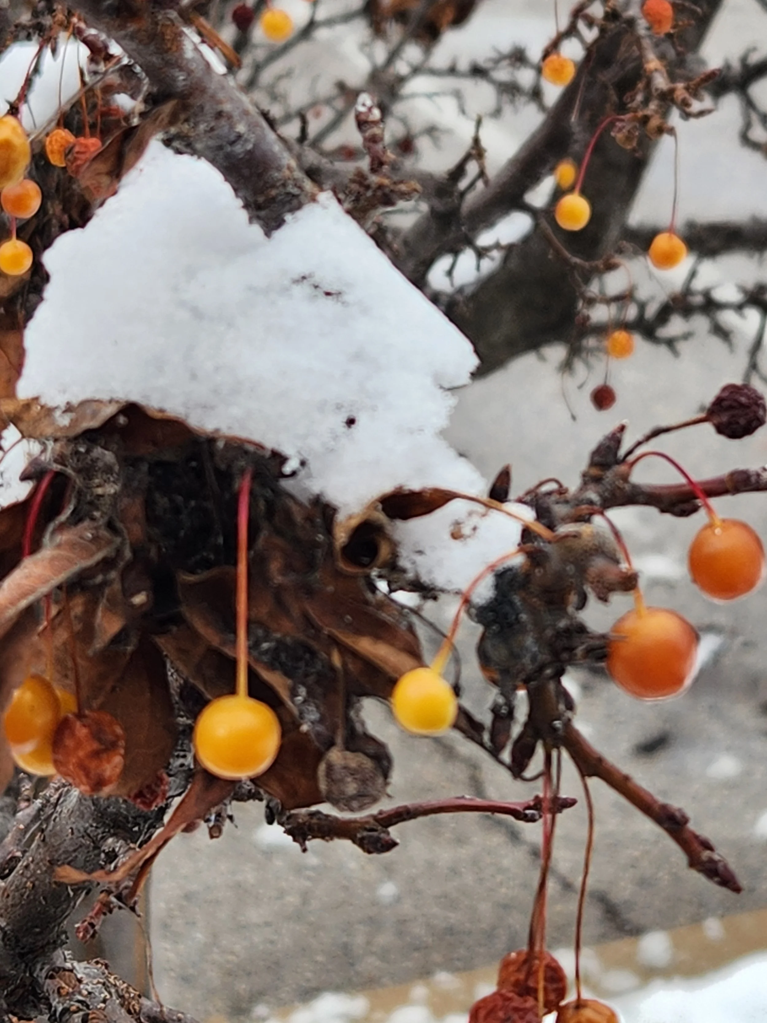 Advent Reflections: A Response to: Expecting a Movement From God 