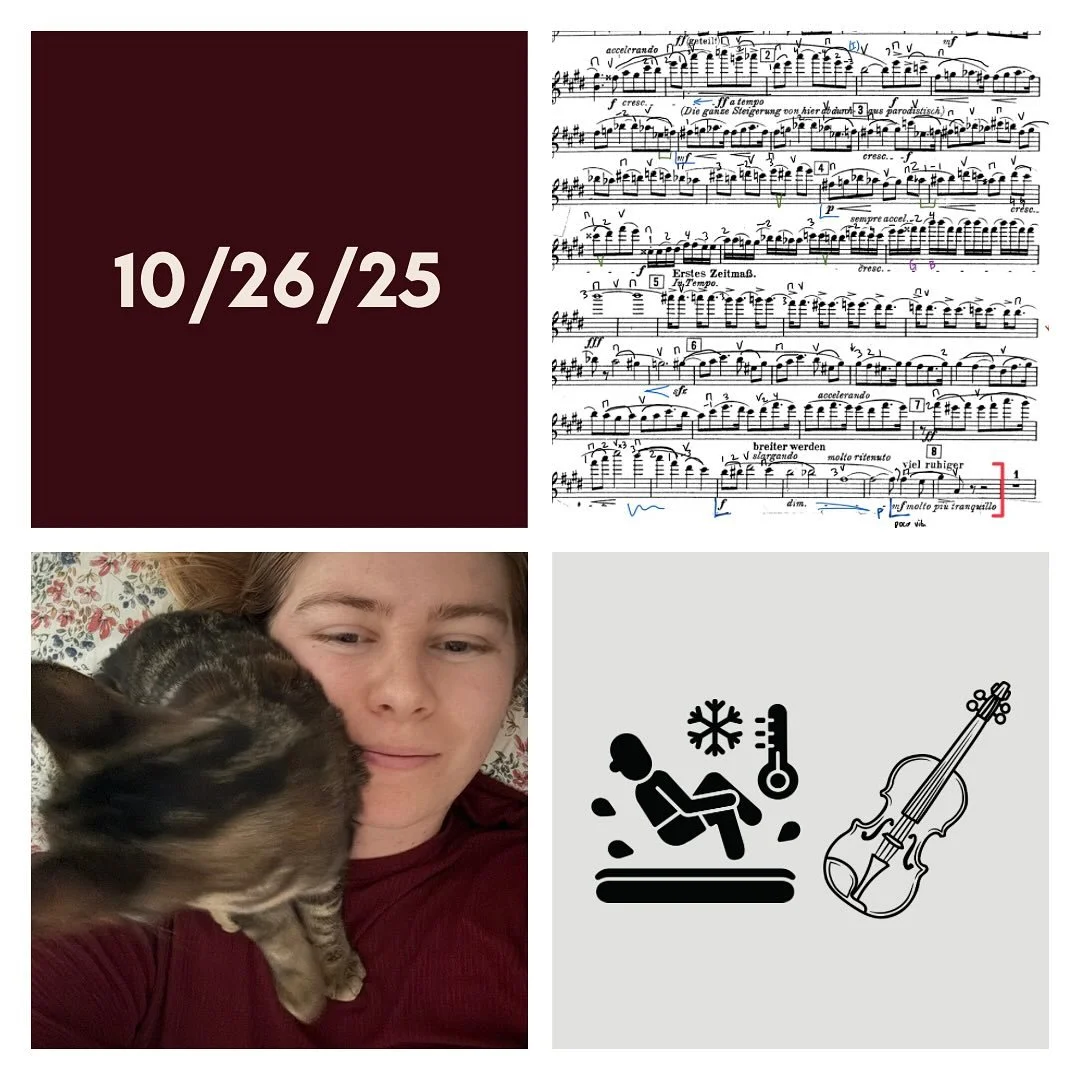 DAY 428 - 10/26/25

🎻: Violin - smaller practice sessions throughout the day today, and a mock audition for Sofiya in the afternoon. Kind of a tough playing day for me, but tried to keep spirits high. I&rsquo;m viewing Tuesday and Wednesday as &ldqu