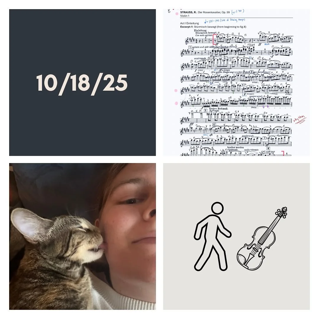 DAY 420 - 10/18/25

🎻: Violin - weekend unstructured practice is the best. A whole day to move my time around and listen to both my body and mind with how much and how I practice. Feels like a luxury to have this kind of open time right now - trying