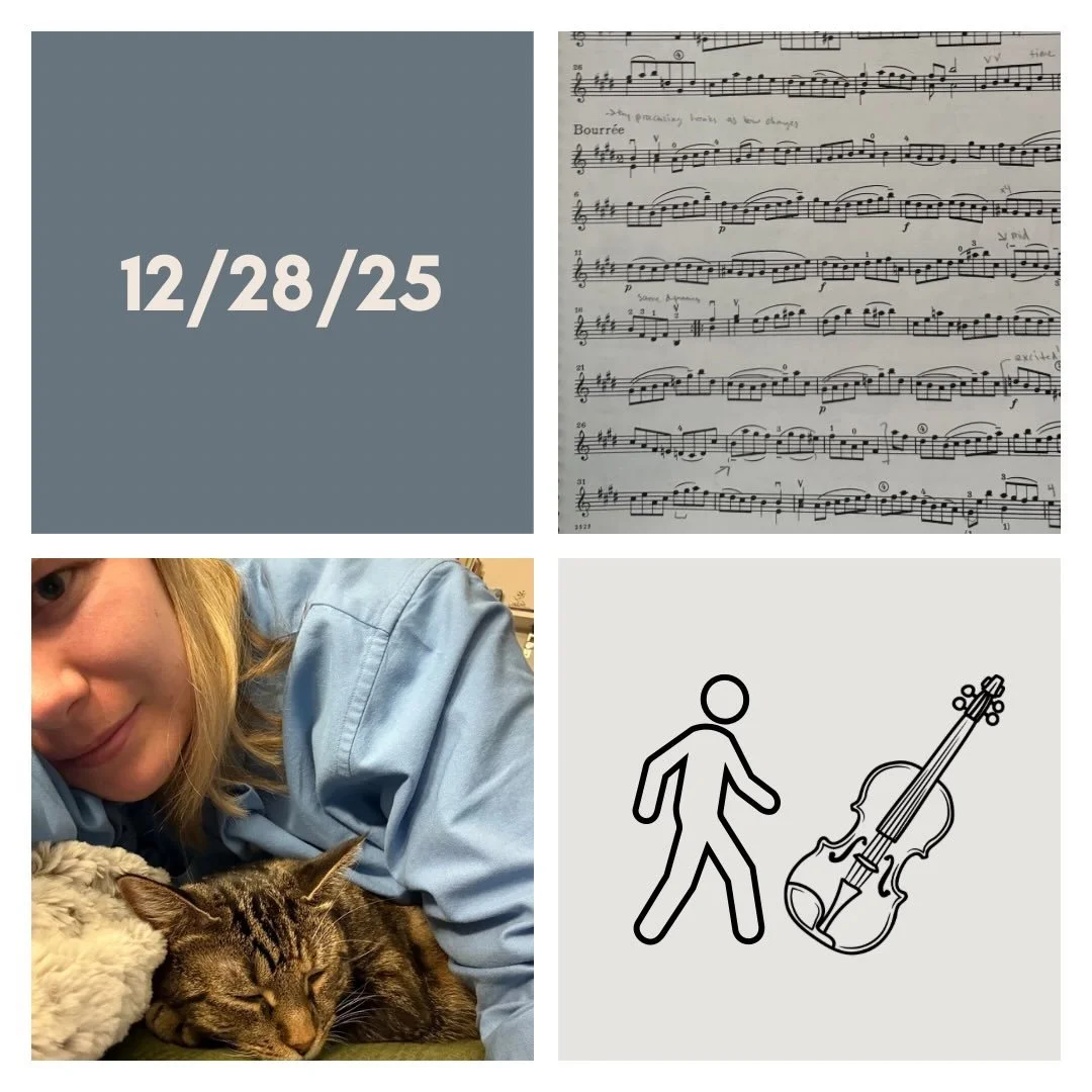 DAY 491 - 12/28/25

🎻: Violin - practice for me today (did not record, intentionally). Wanted to practice in honor of my mom&rsquo;s death, which today was the 4year anniversary. Whenever I play music, I think of her :)
🚶🏼&zwj;♀️: Walk - (4.83 mi)