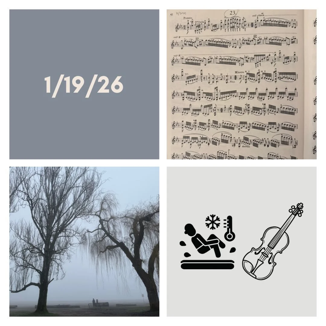 DAY 513 - 1/19/26

🎻: Violin - practice, rehearsals + read through of Kiuryaq with the quartet! Feeling excited for the project and like I have a good balance so far with getting all the things accomplished that I need to each day. Trying to stay ca