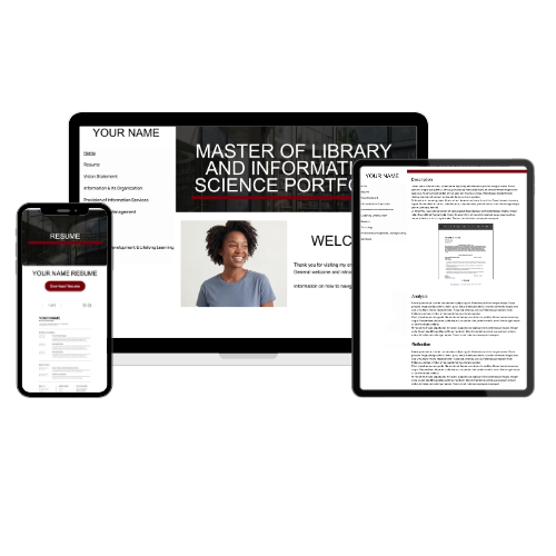 MLIS PORTFOLIO