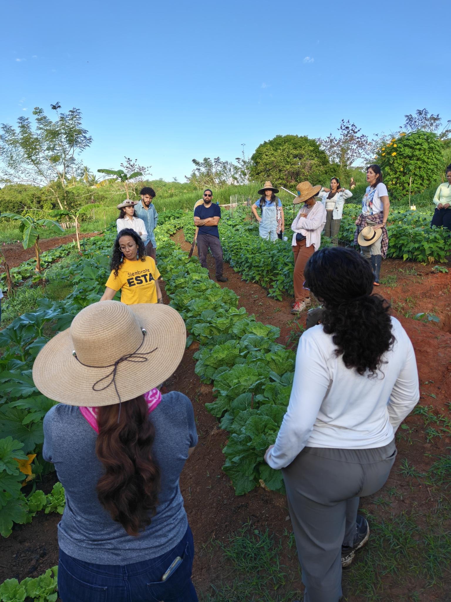 10 años de Agroecología en la UPR de Mayagüez de la mano de El Josco Bravo