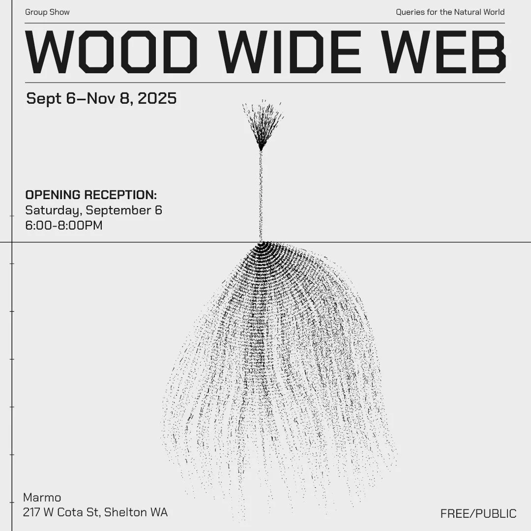 Wood Wide Web Exhibition Opening