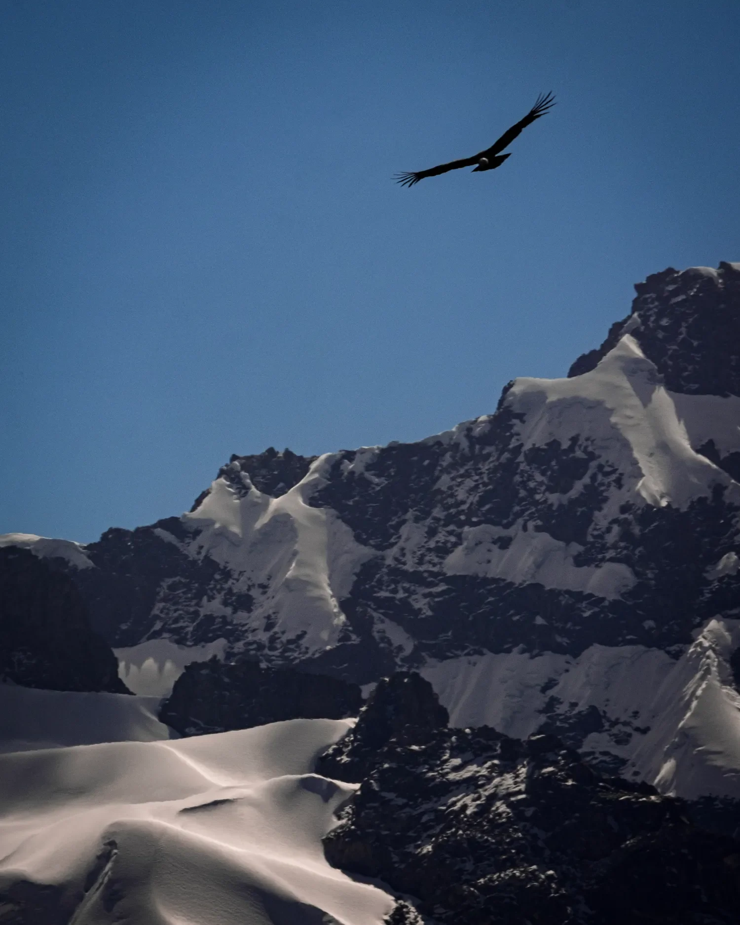 Reading with Rebecca Brams