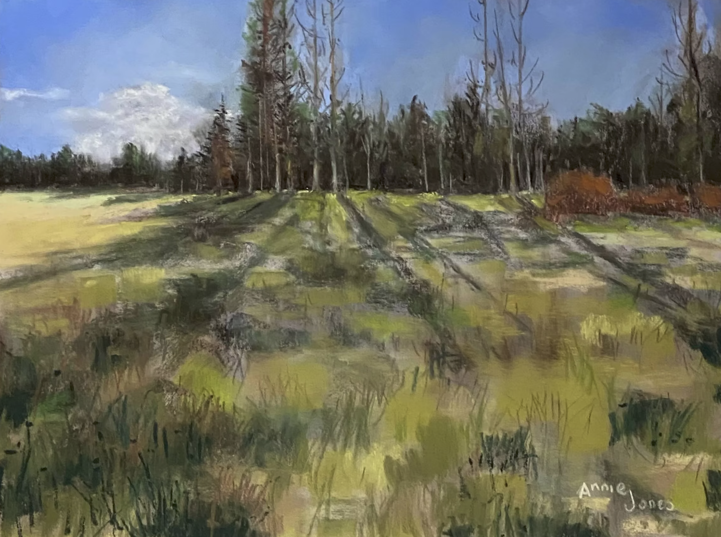 Exhibition Opening: Annie Jones, Portraits of the Pacific Northwest