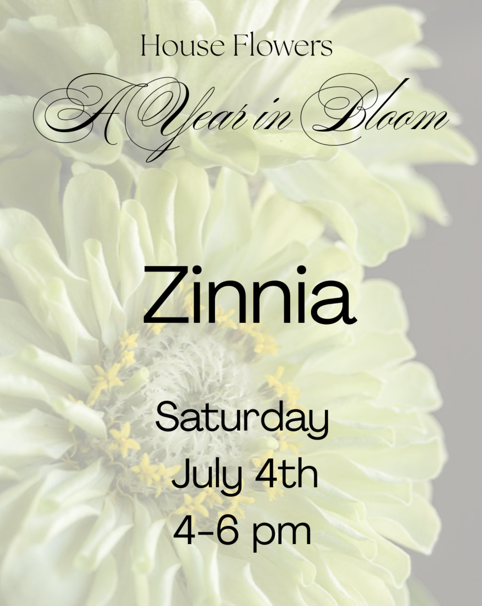 A Year in Bloom: Zinnia