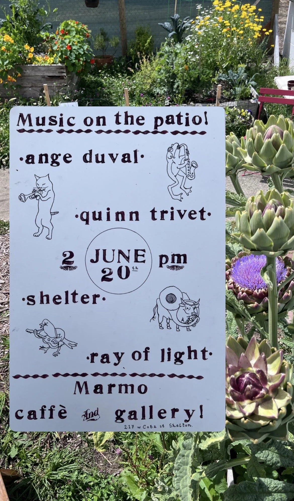 Music on the Patio