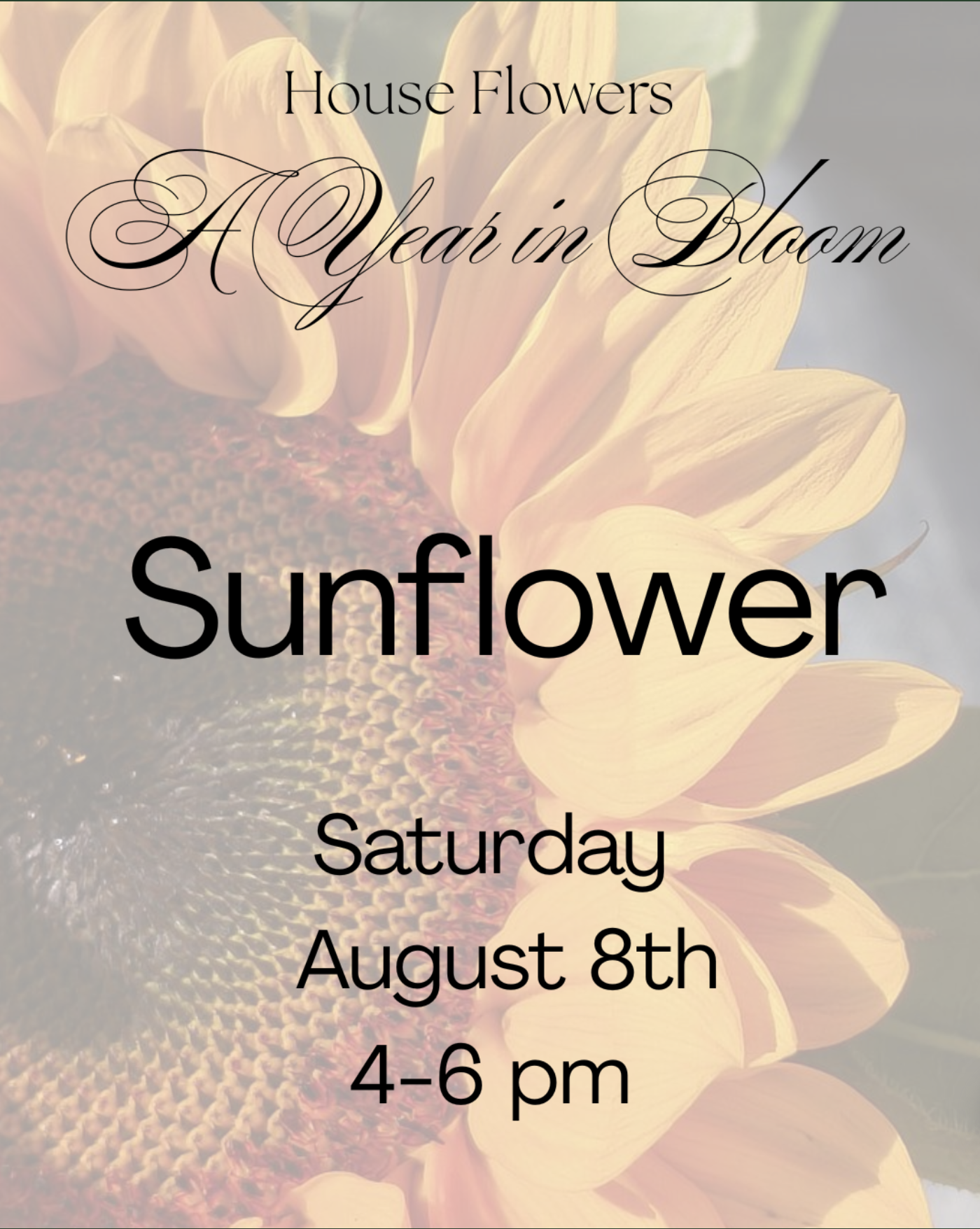 A Year in Bloom: Sunflower