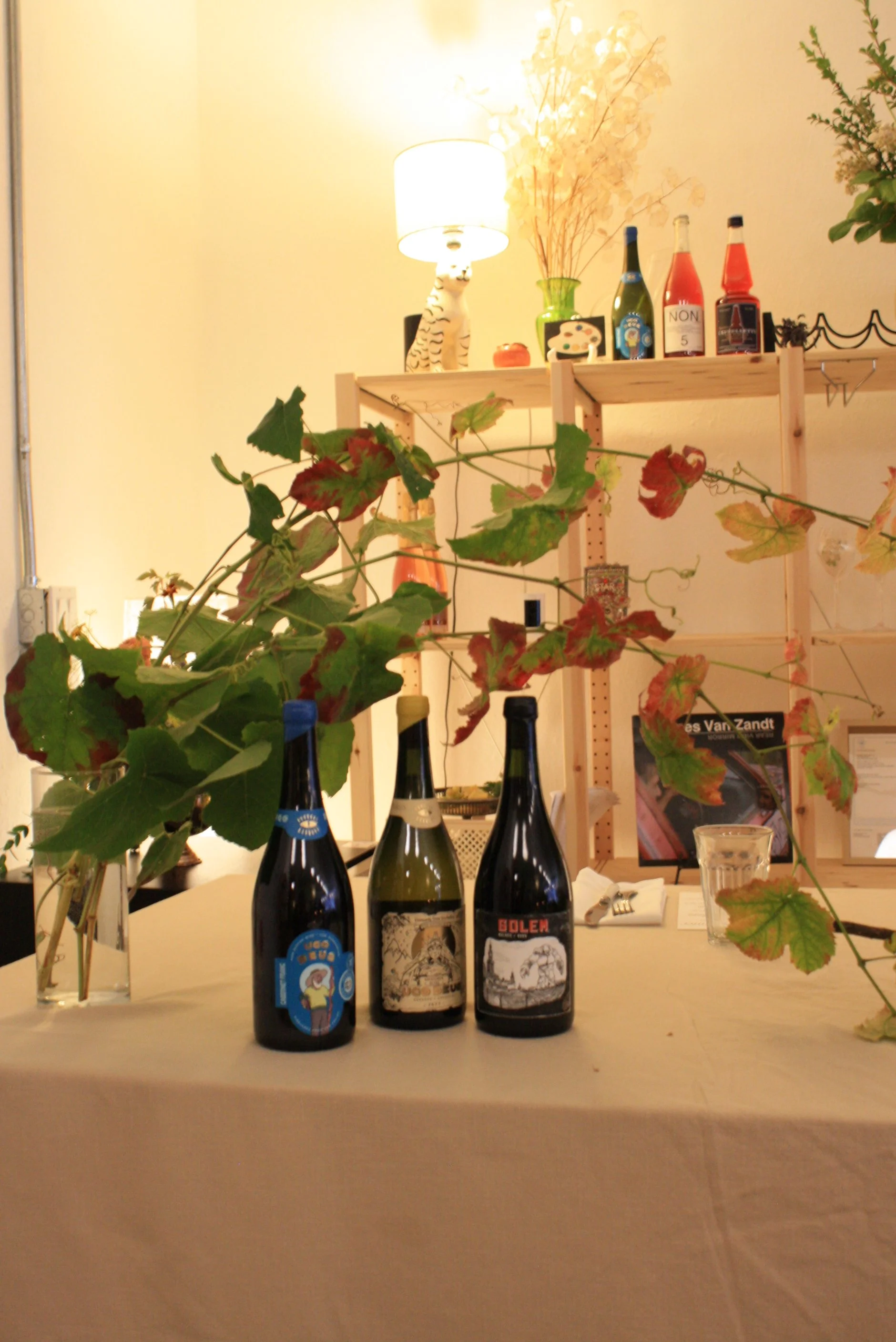 Three bottles of beer on a white table, with a leafy plant in a glass vase and a half-filled glass of water. In the background, a wooden shelf holding a lamp, bottles, a small decoration, and a framed picture. The setting appears to be indoors, possi
