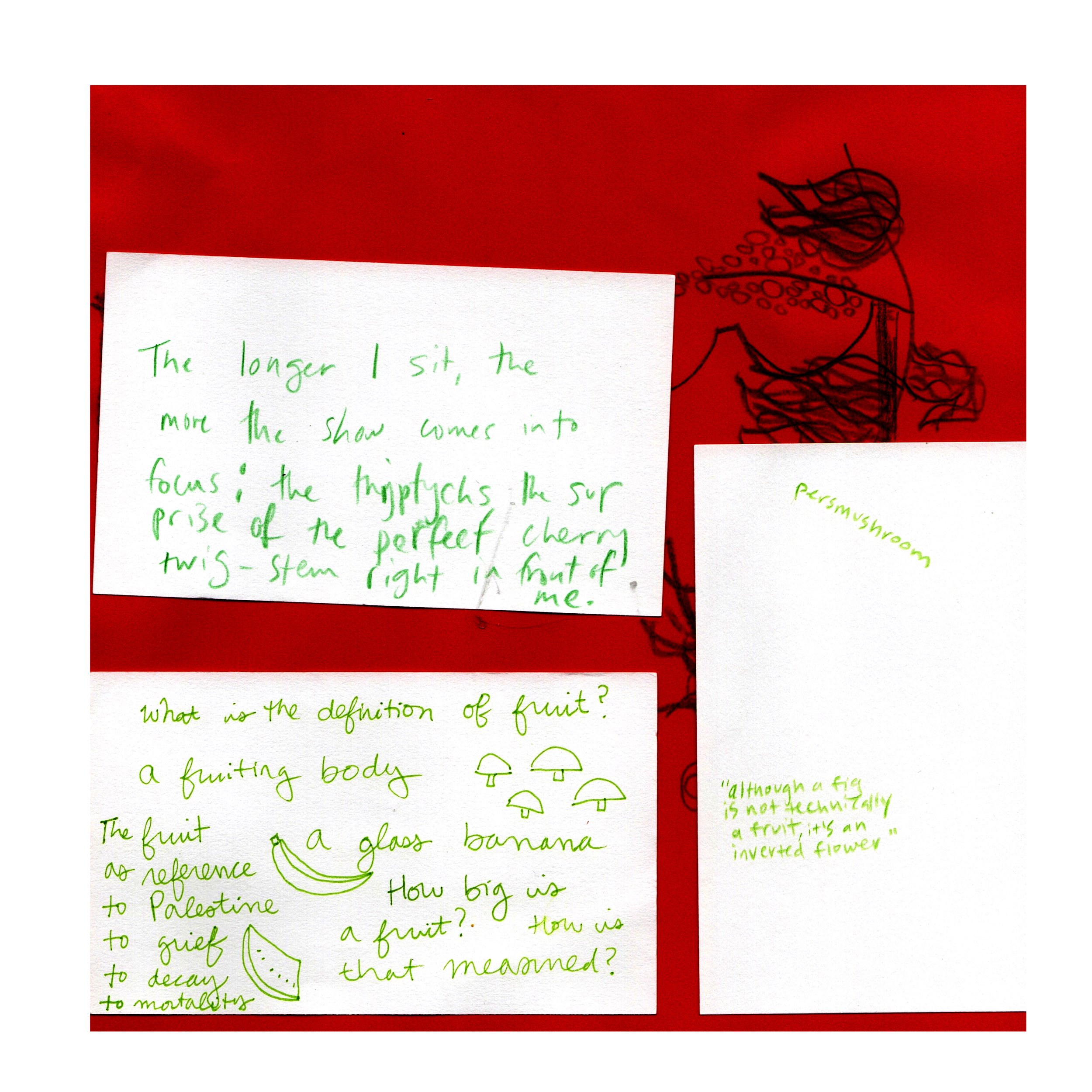 Handwritten notes on white paper with a red background. Text includes phrases about the definition of fruit, mentioning items like "a glass banana" and "persimushroom." Drawings of mushrooms are present. There's a mention of "cherry twig-stem" and a