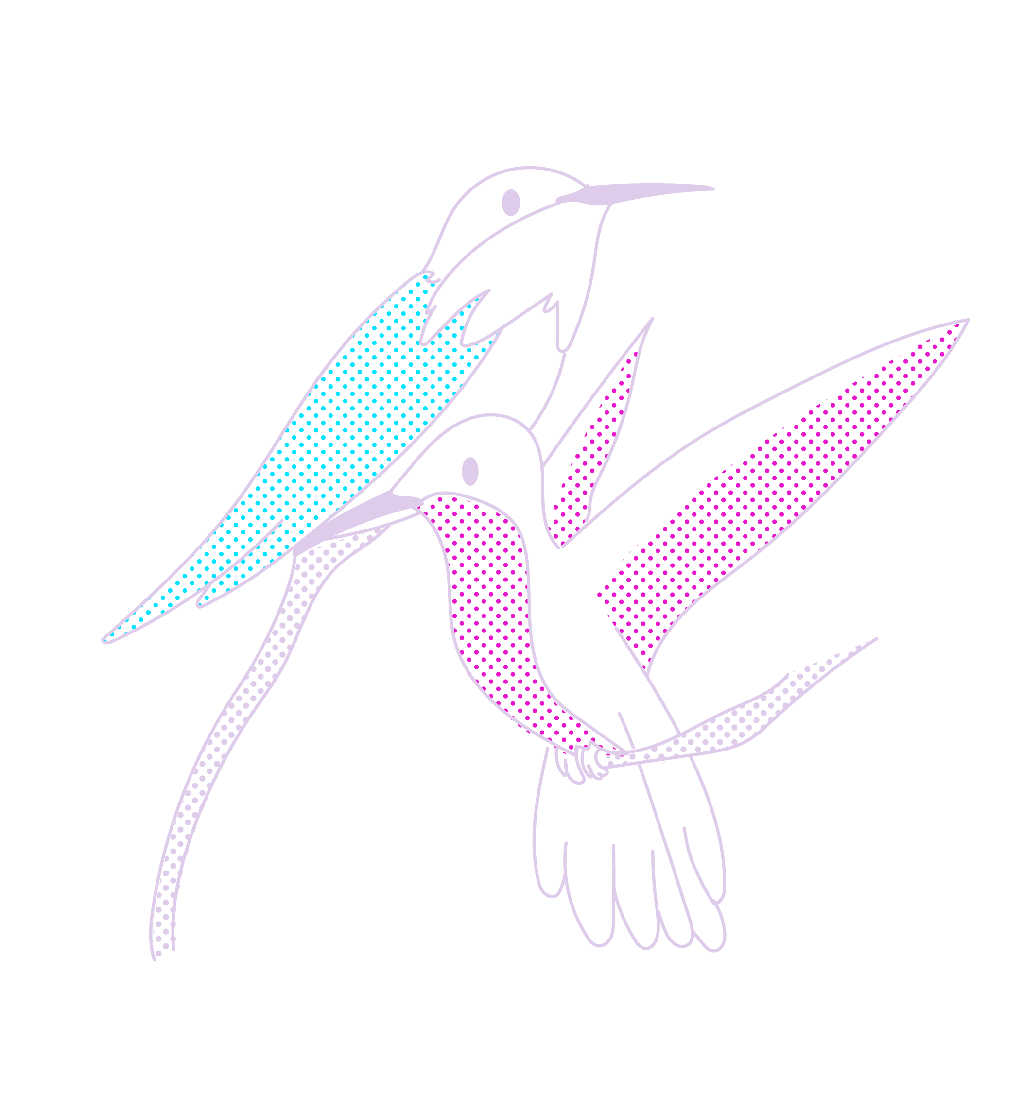 Line art illustration of three hummingbirds with colorful dotted accents on their wings, wings spread, against a black background.