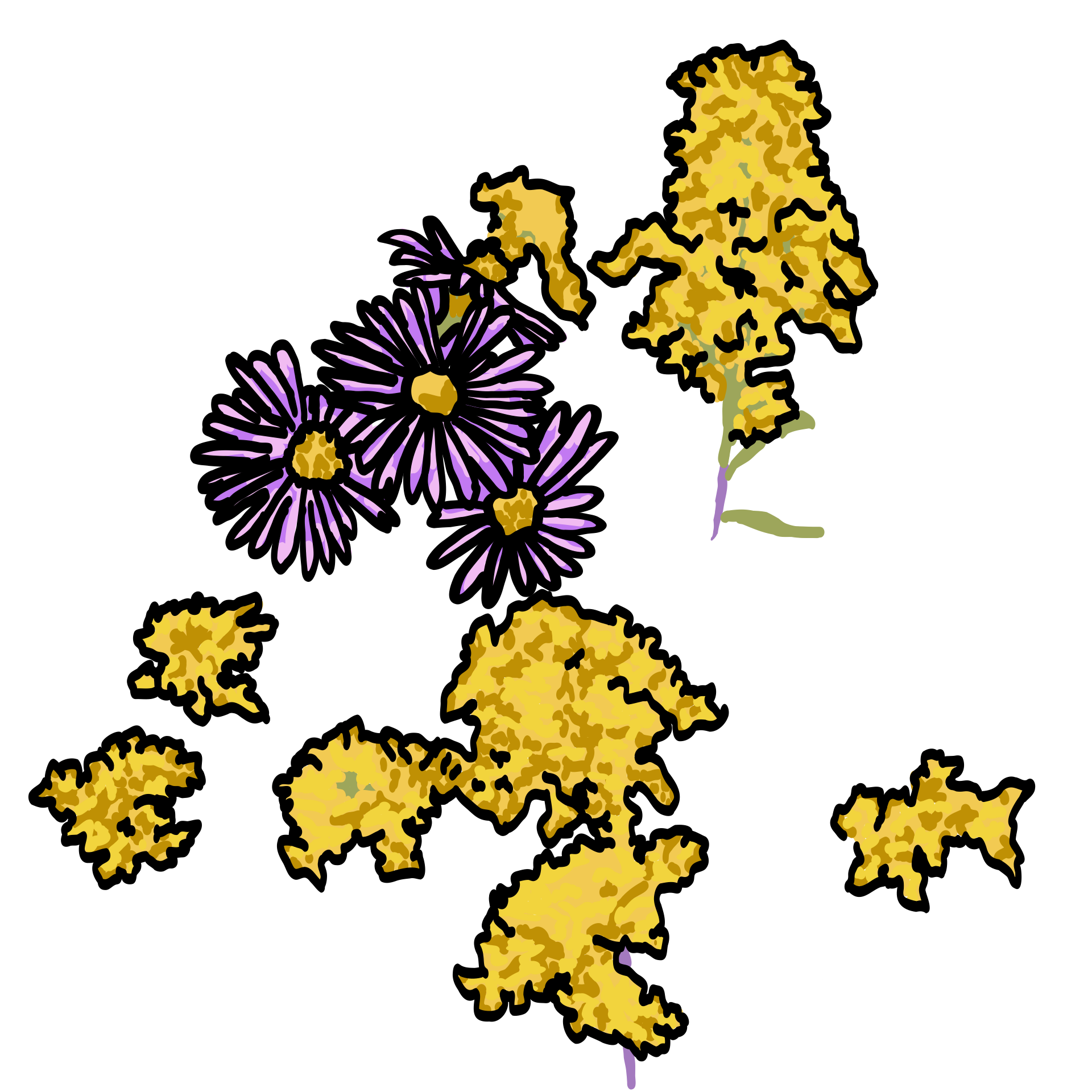 Asters and Goldenrod Digital Illustration