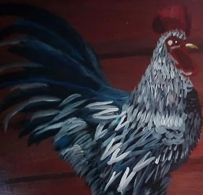 Close-up of a rooster with black, white, and gray feathers, red comb, and red wattles, standing indoors against a wooden wall.