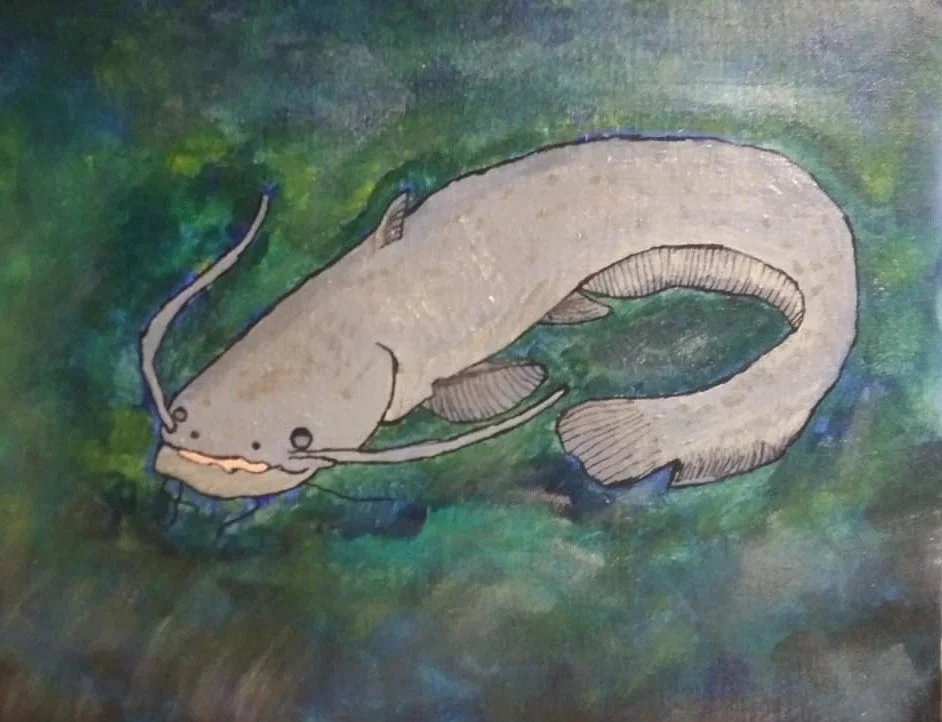 Hand-drawn illustration of a catfish swimming in water featuring green and blue background colors.