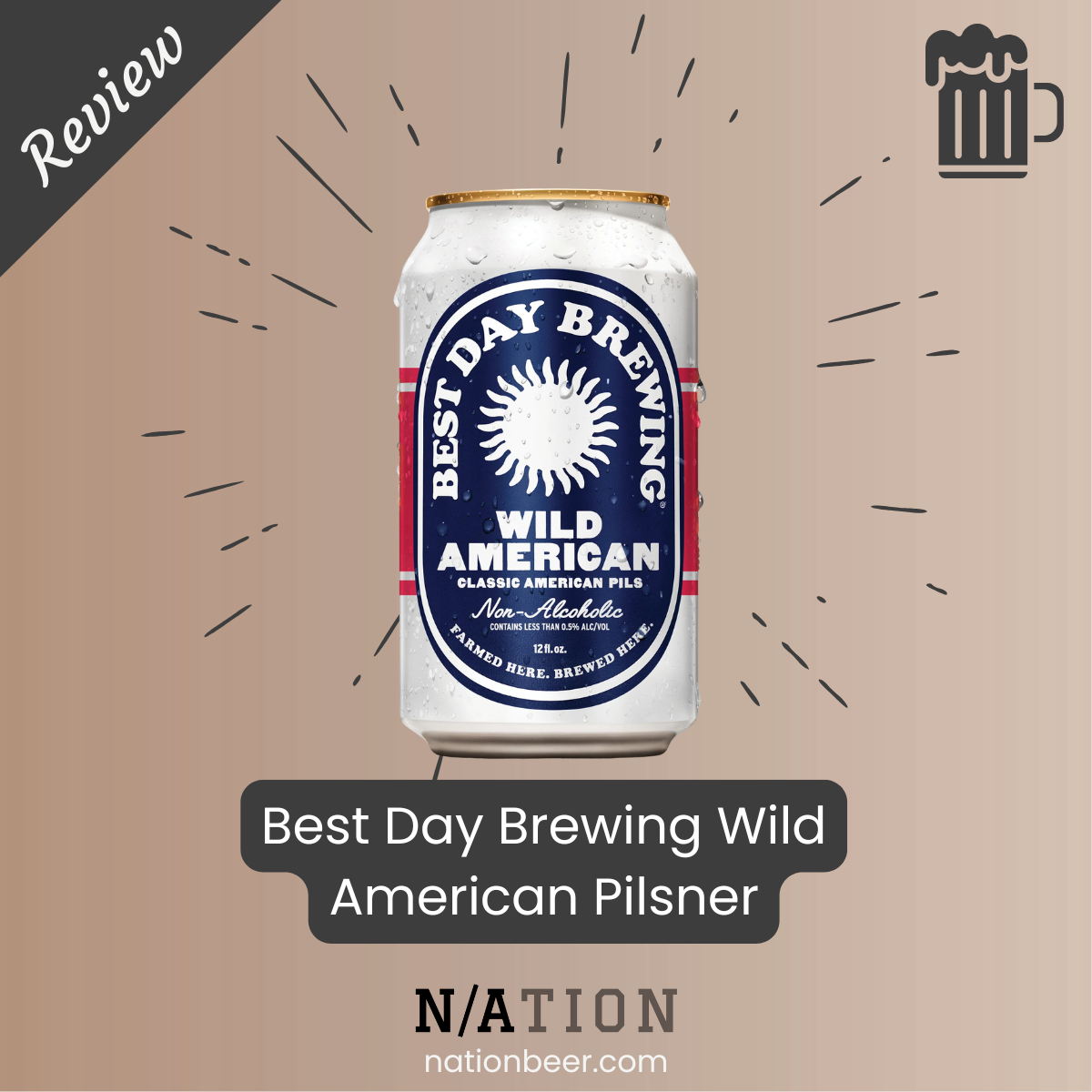 REVIEW: Best Day Brewing Wild American Ale