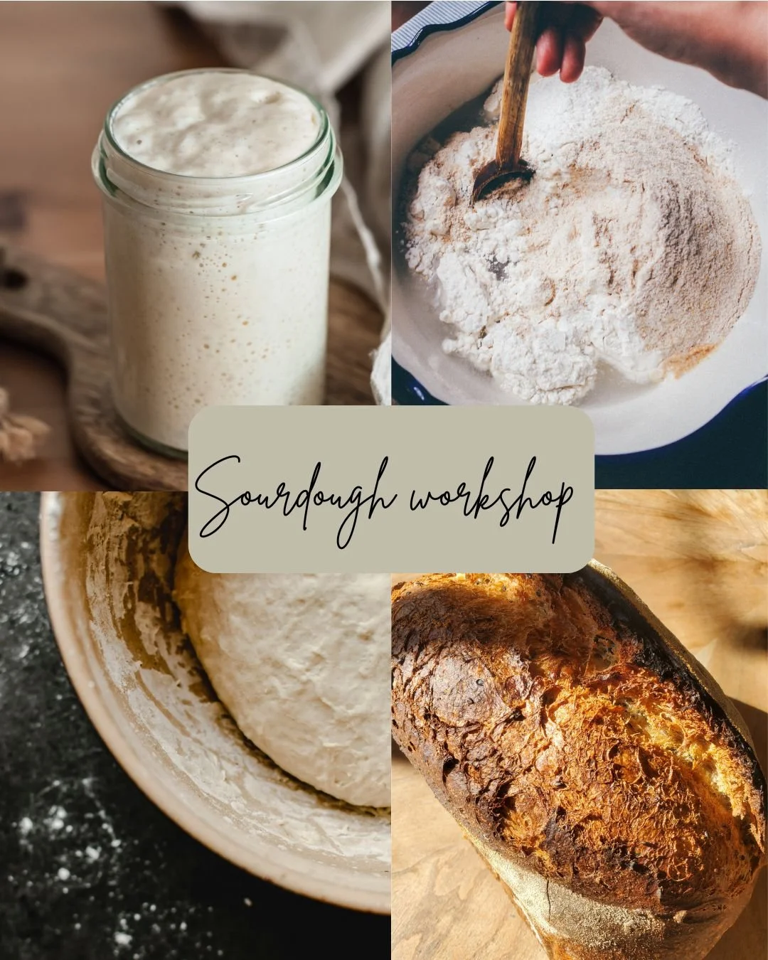 SOURDOUGH IN THE GARDEN 