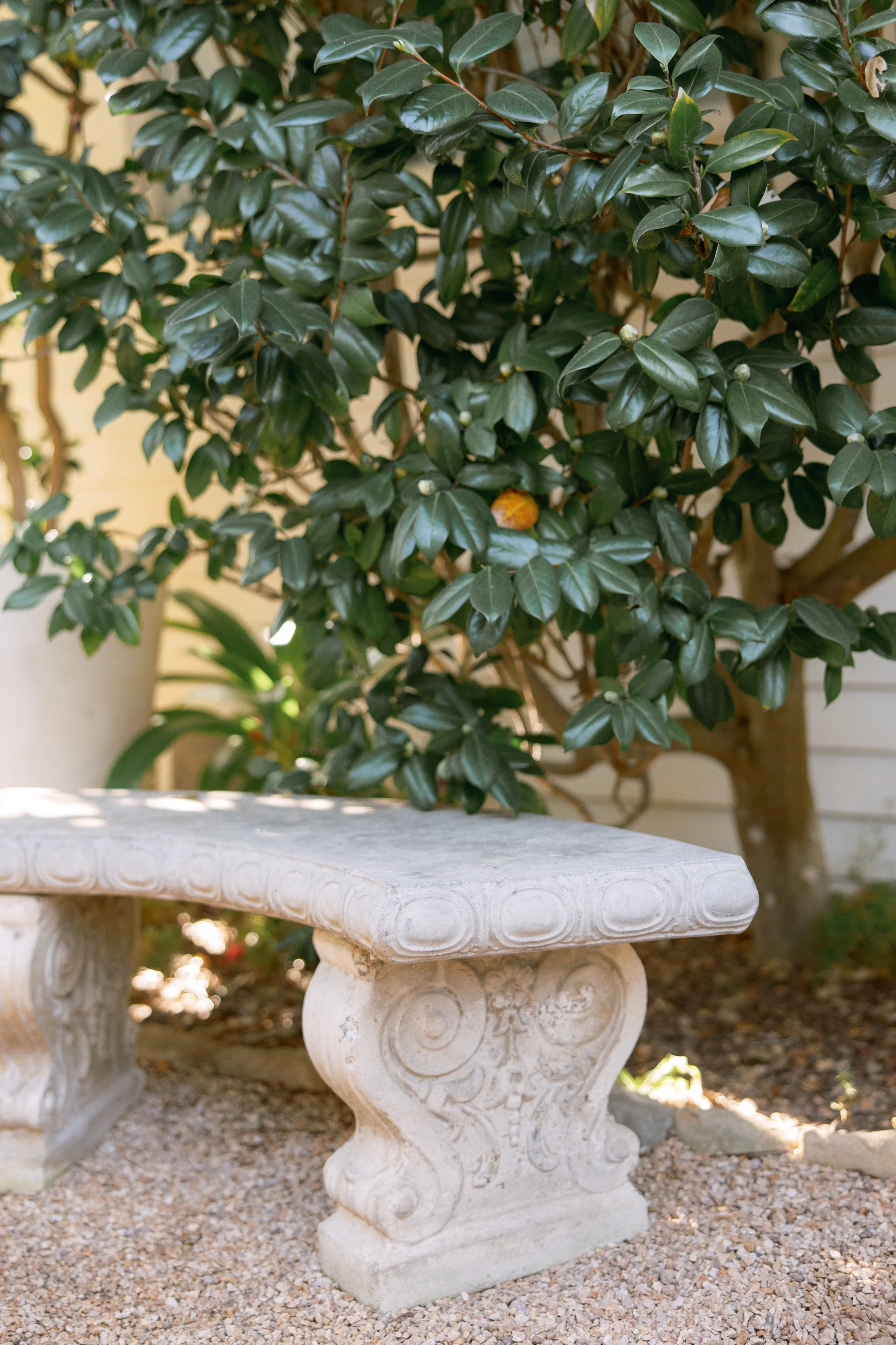 Anna Delores Photography_Islay Gardens 01.219.26-2.jpg