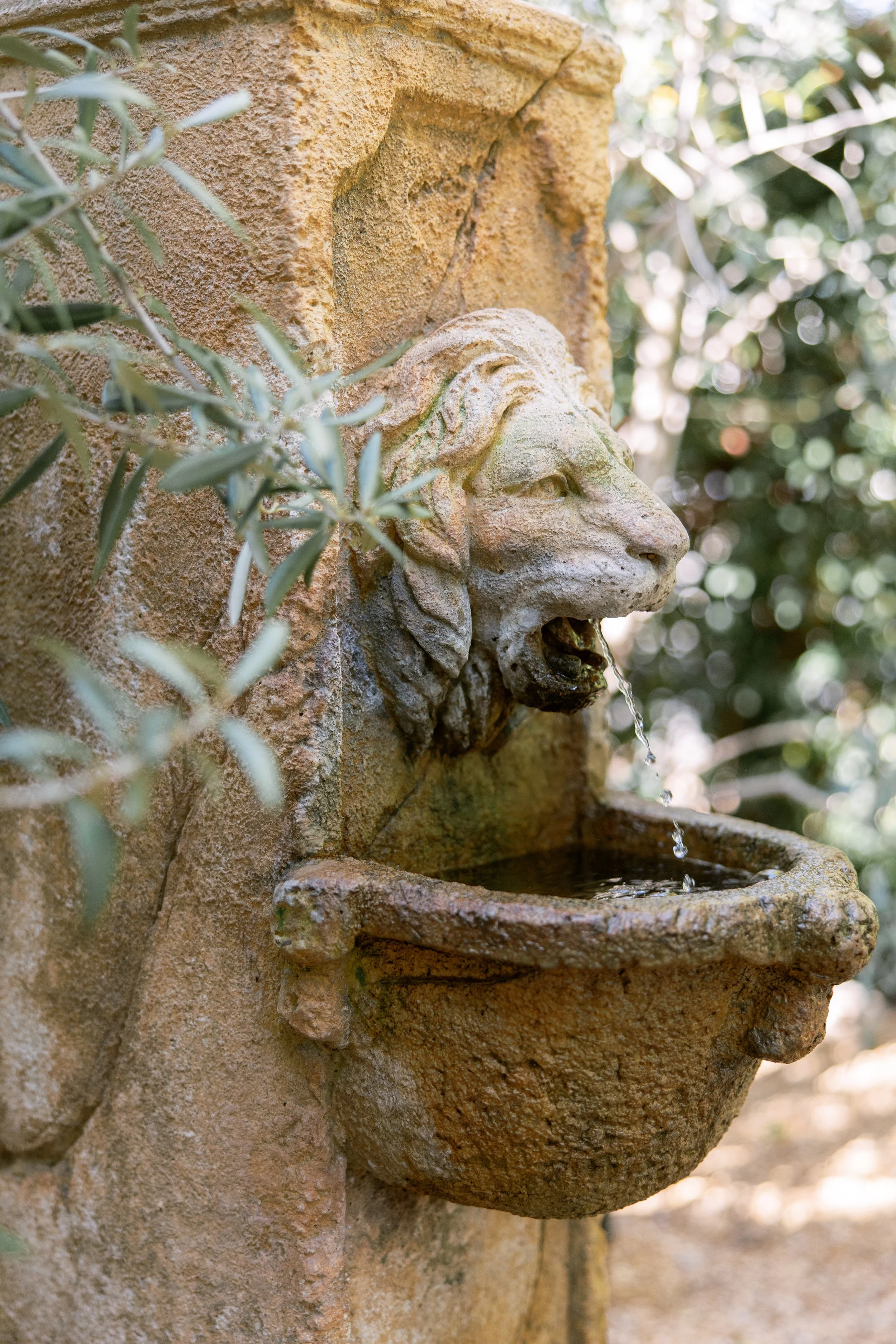 Anna Delores Photography_Islay Gardens 01.219.26-8.jpg