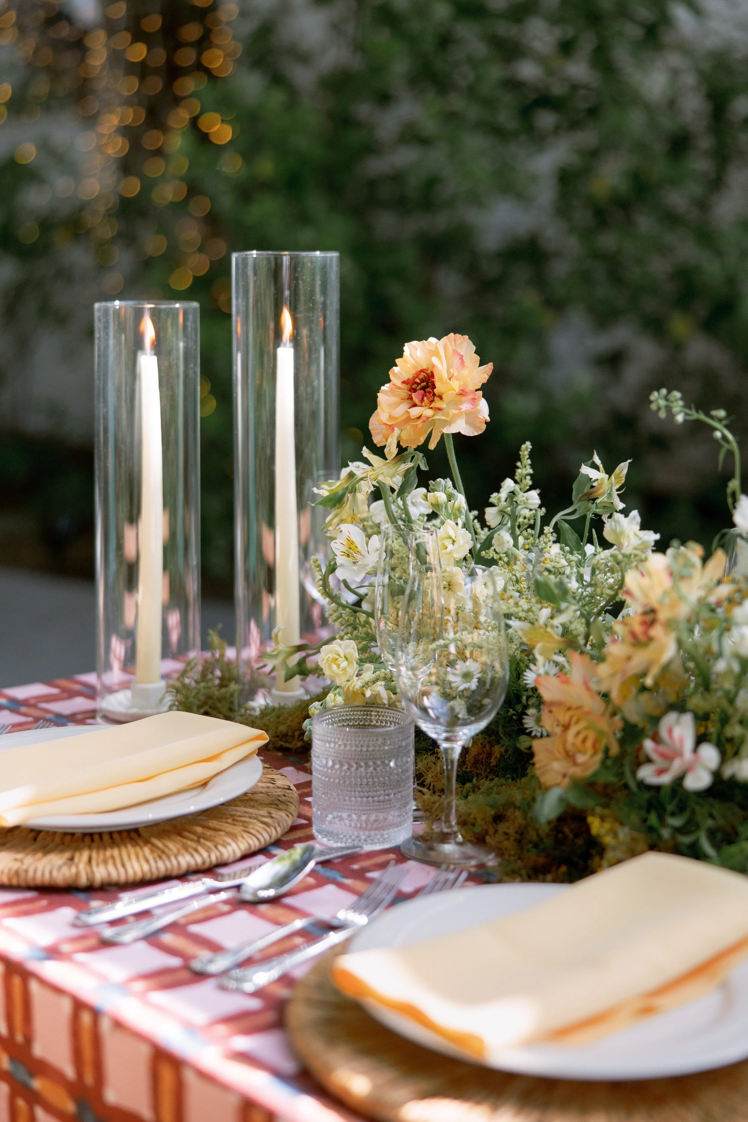 Anna Delores Photography_Islay Gardens 01.29.26-95.jpg