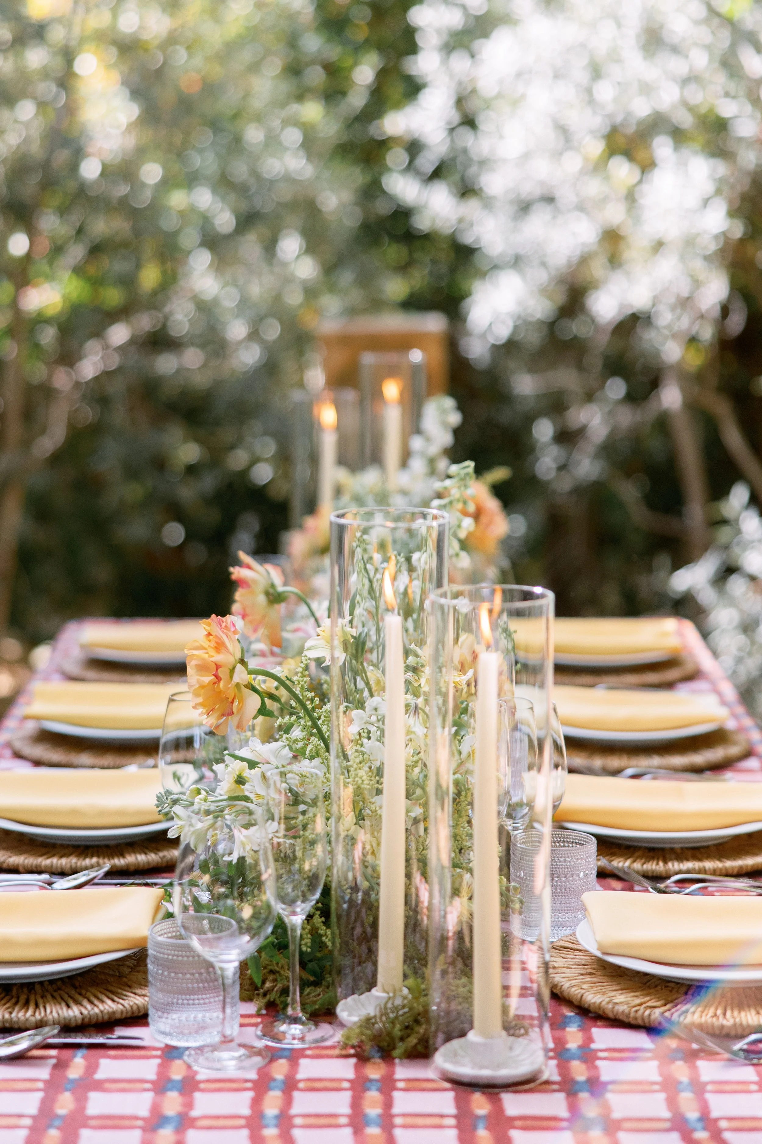 Anna Delores Photography_Islay Gardens 01.29.26-85.jpg