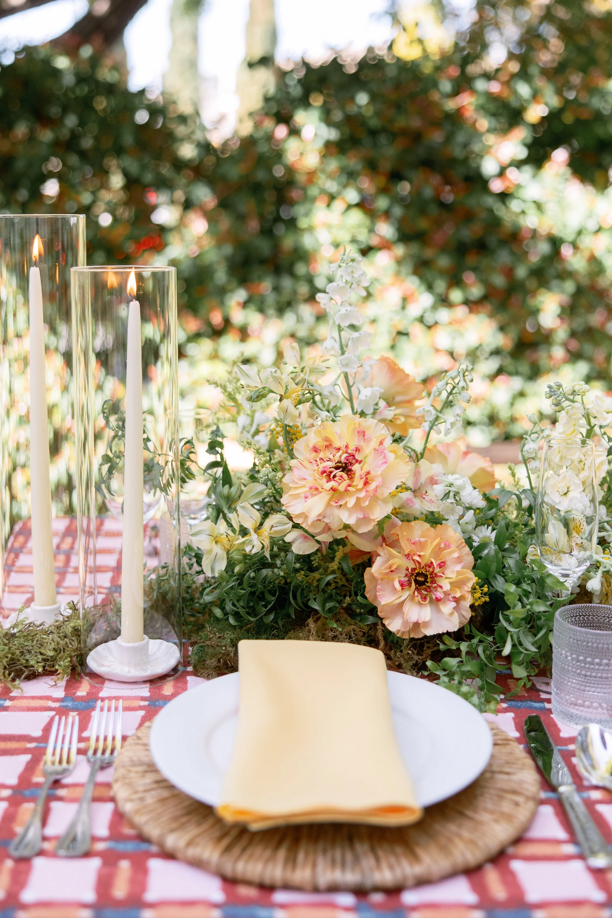 Anna Delores Photography_Islay Gardens 01.29.26-44.jpg