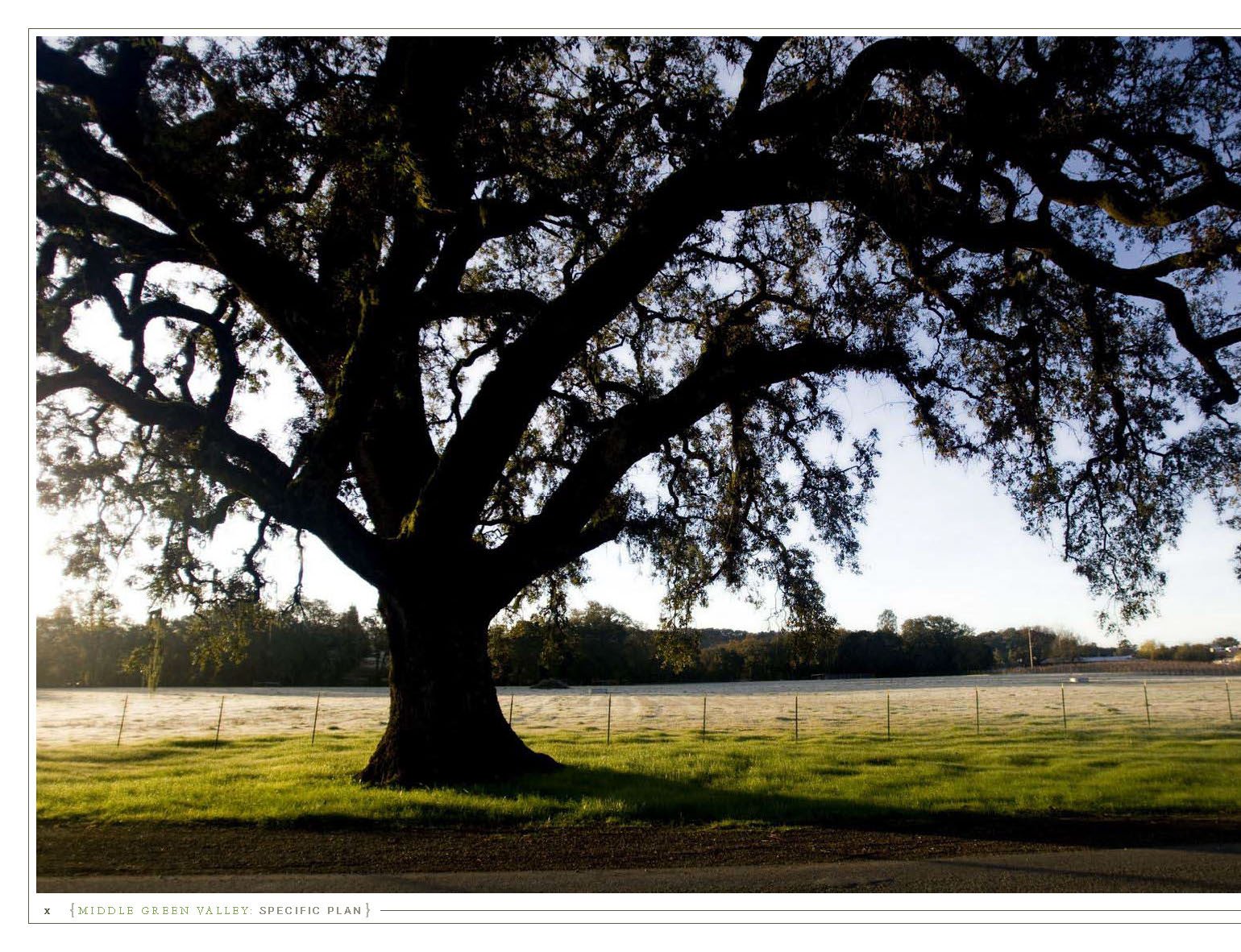 Pages from 08-047_Adopted SP_2010_Page_1.jpg