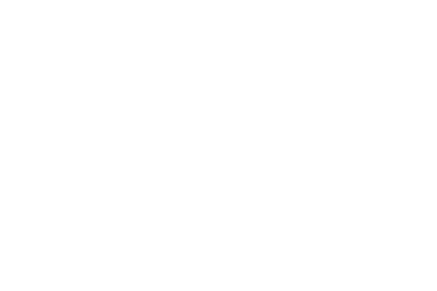 Professional Search, LLC Int&#39;l