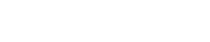 Professional Search, LLC Int&#39;l