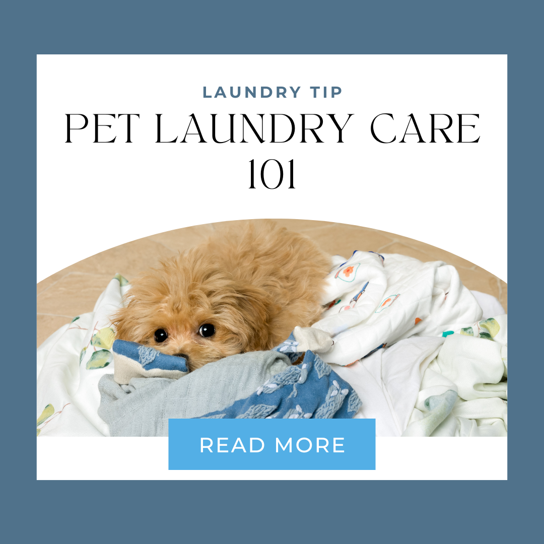 Pet Laundry Care 101