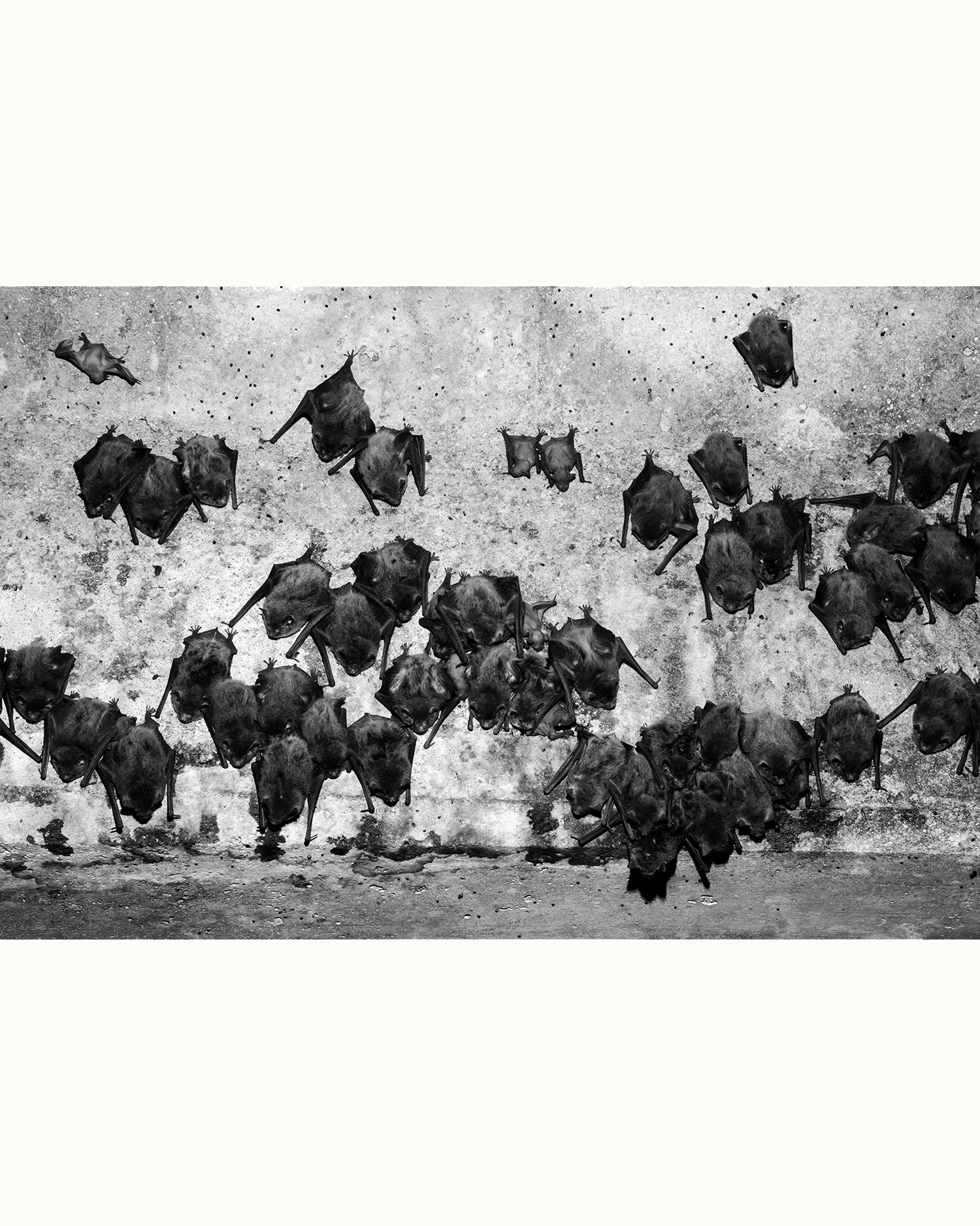 Bat Cave_1a.jpg