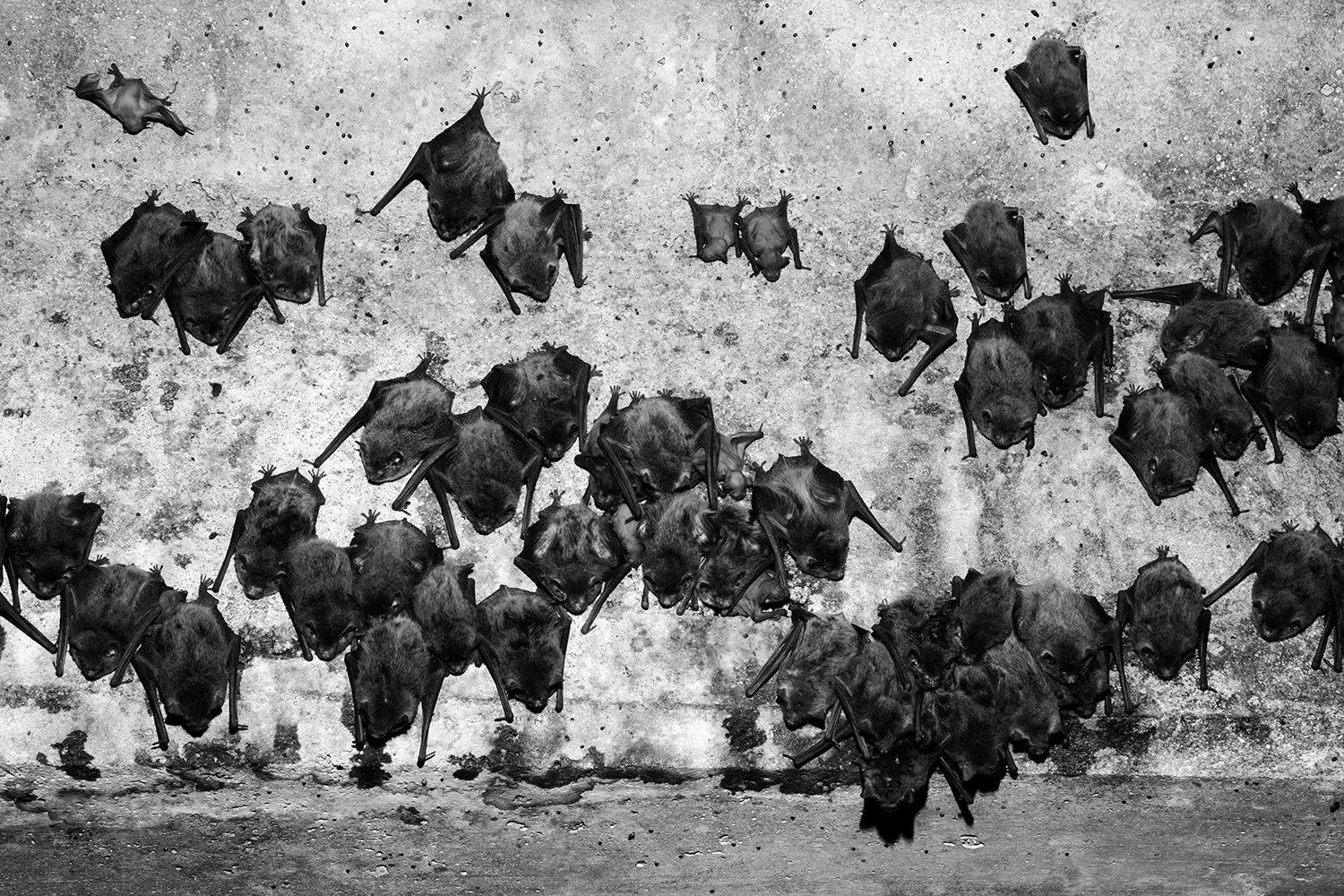 Bat Cave_1.jpg