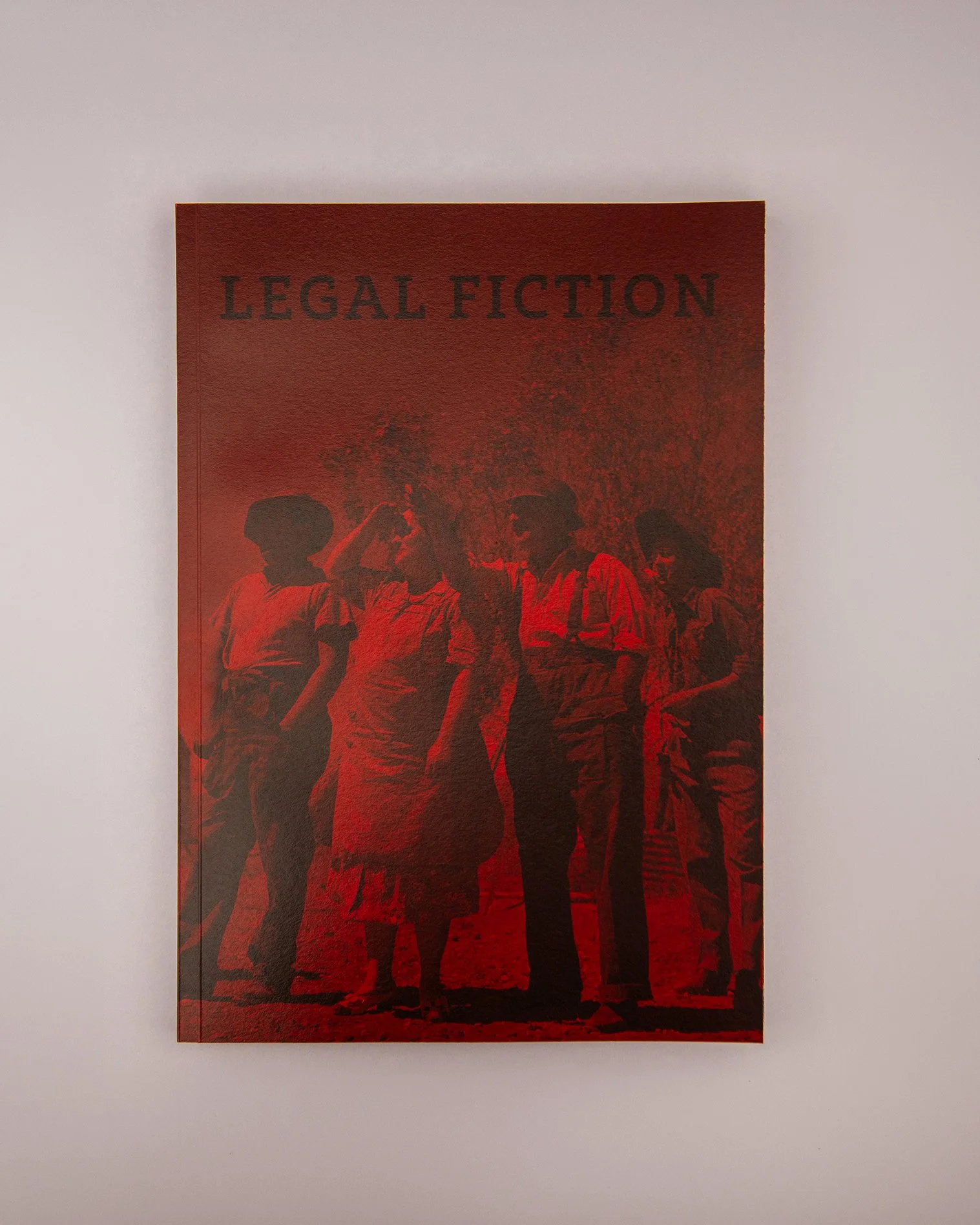 Legal_Fiction_book_01a.jpg