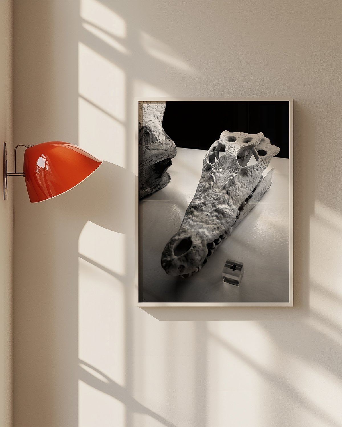 Croc Head_2.jpg