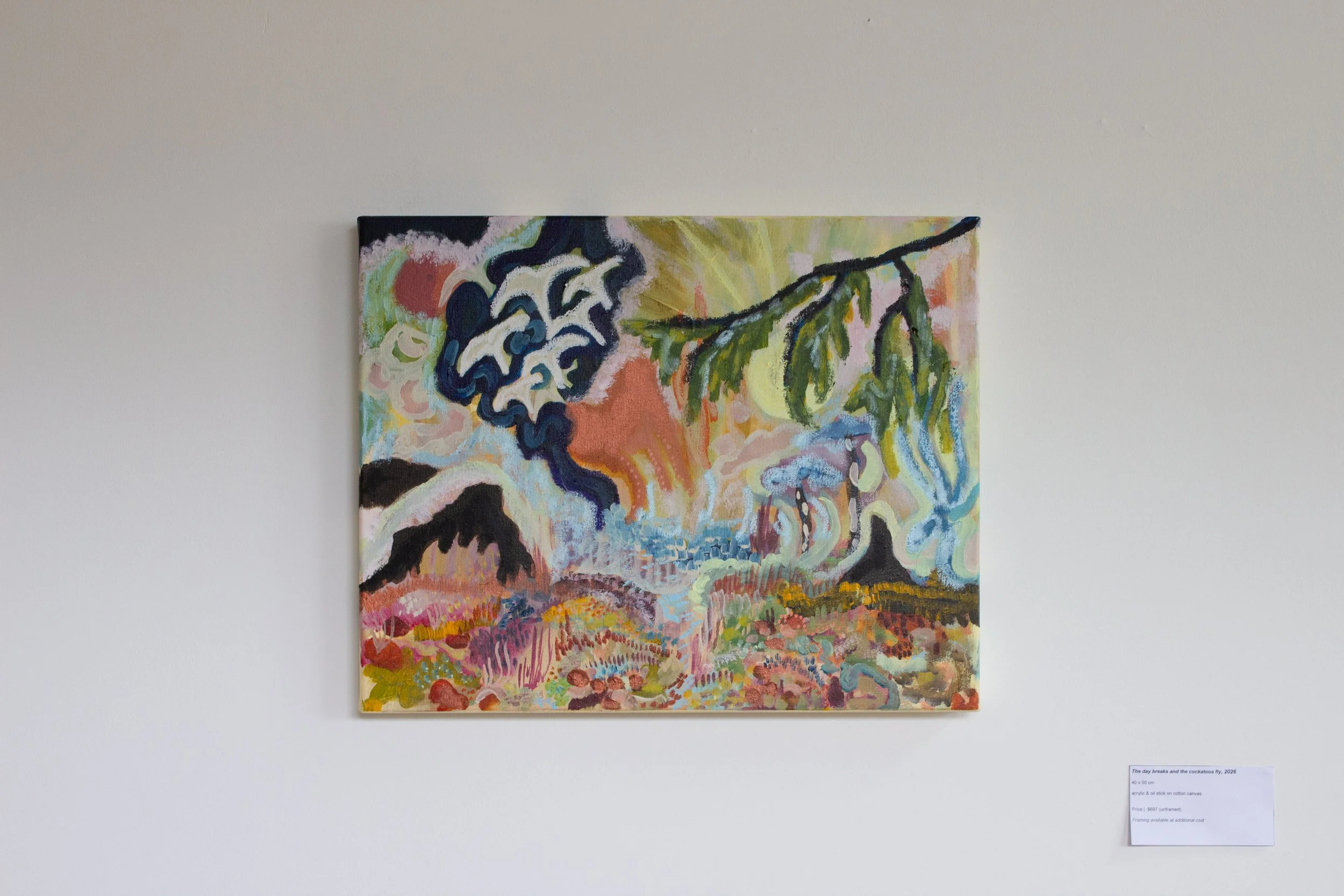 The day breaks and the cockatoos fly