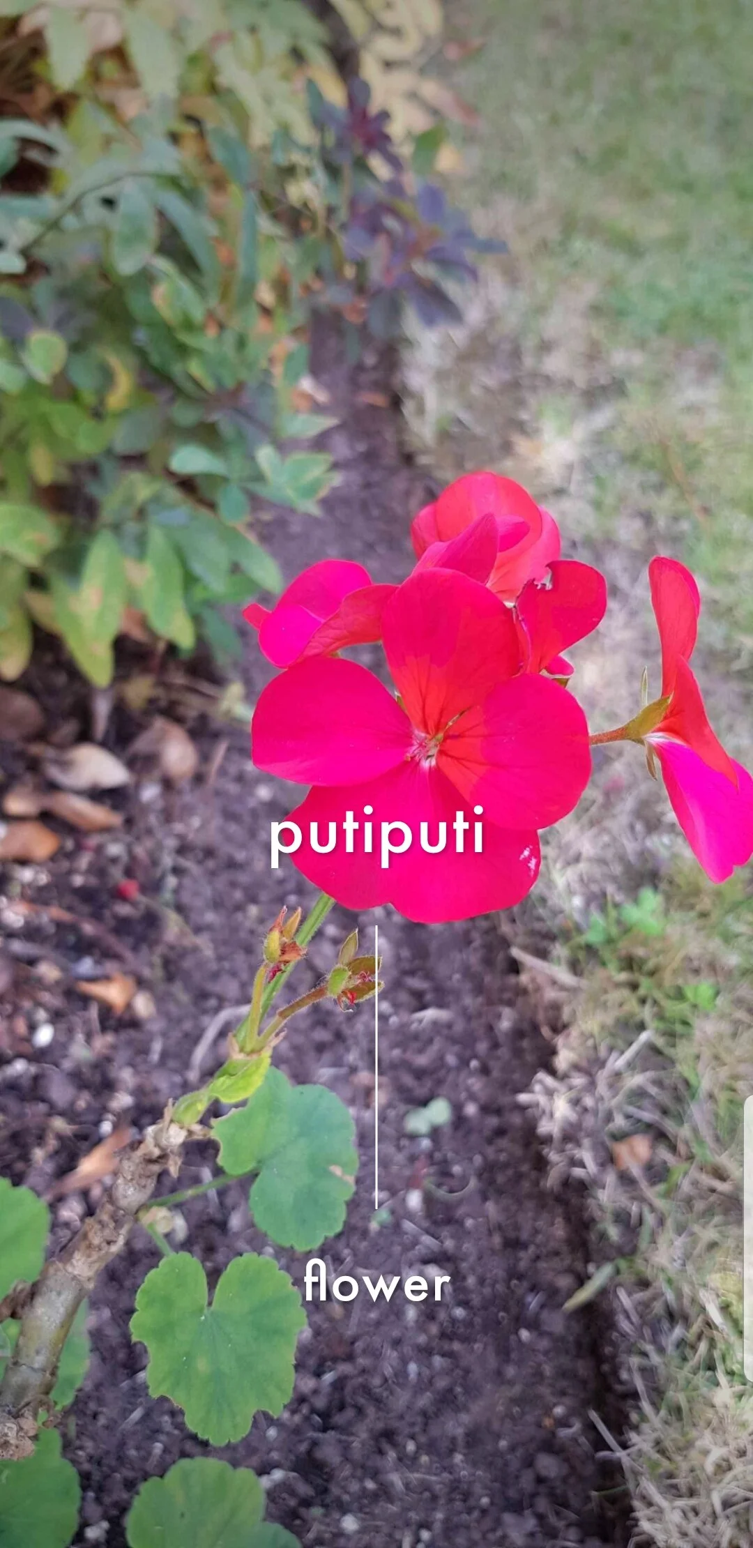 Screenshot_20200406-152720_Android System.jpg