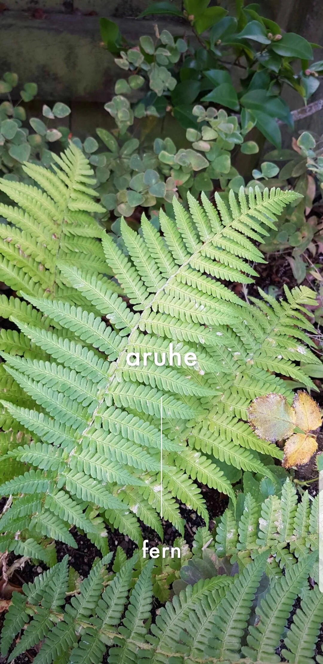 Screenshot_20200406-152856_Android System.jpg