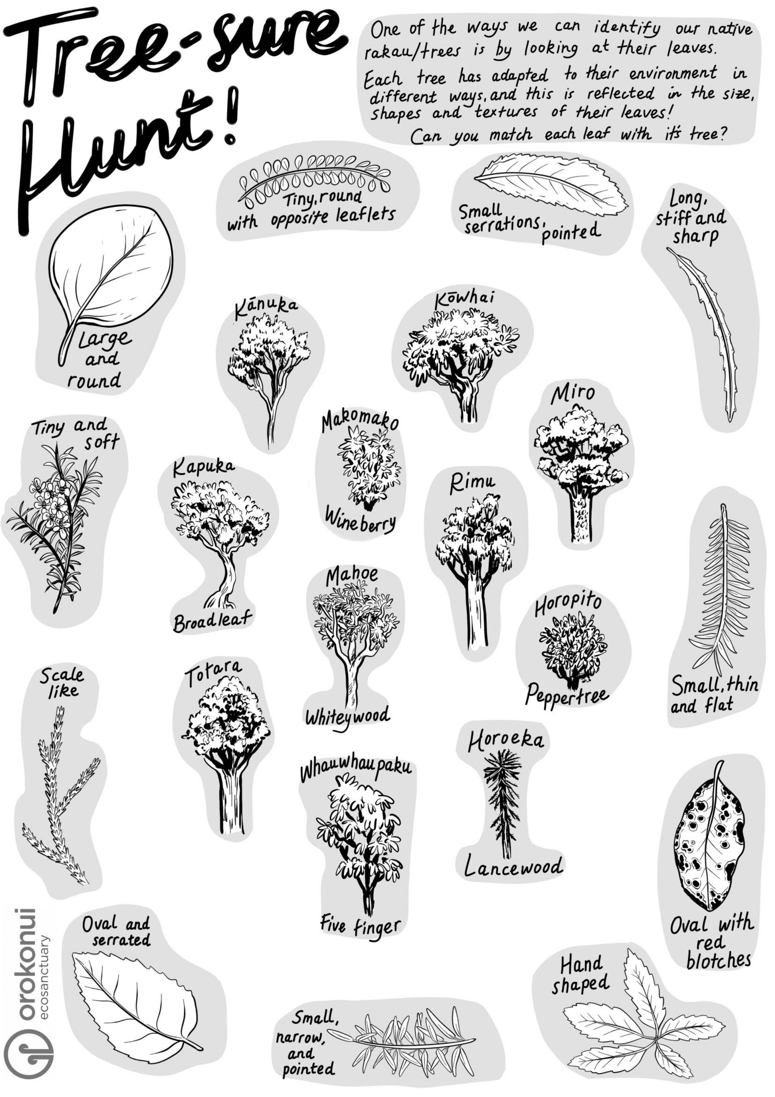 This awesome resource was shared with us by Orokonui Ecosanctuary