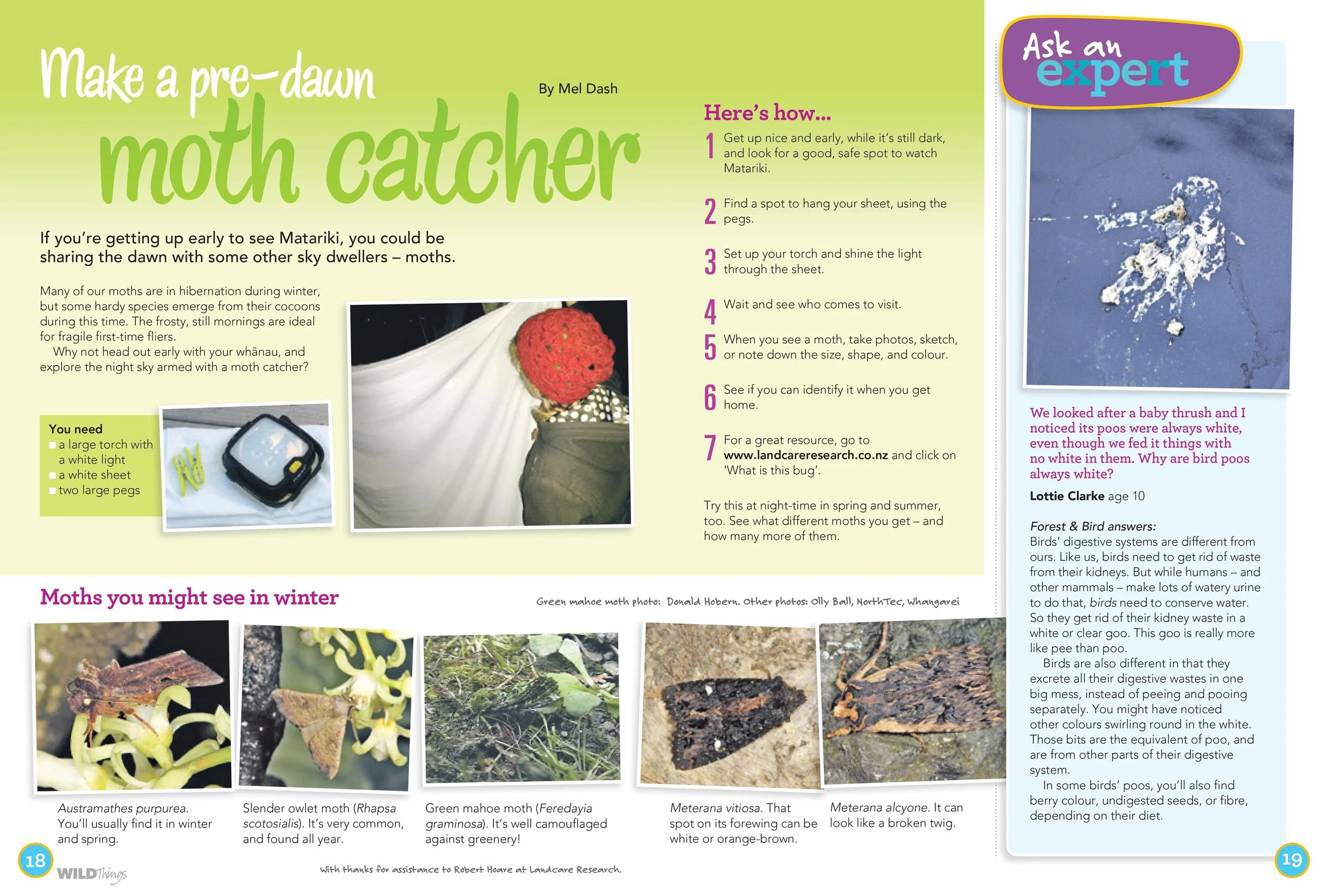 *Credit to KCC magazine, click HERE to subscribe to this fantastic magazine for Kiwi kids