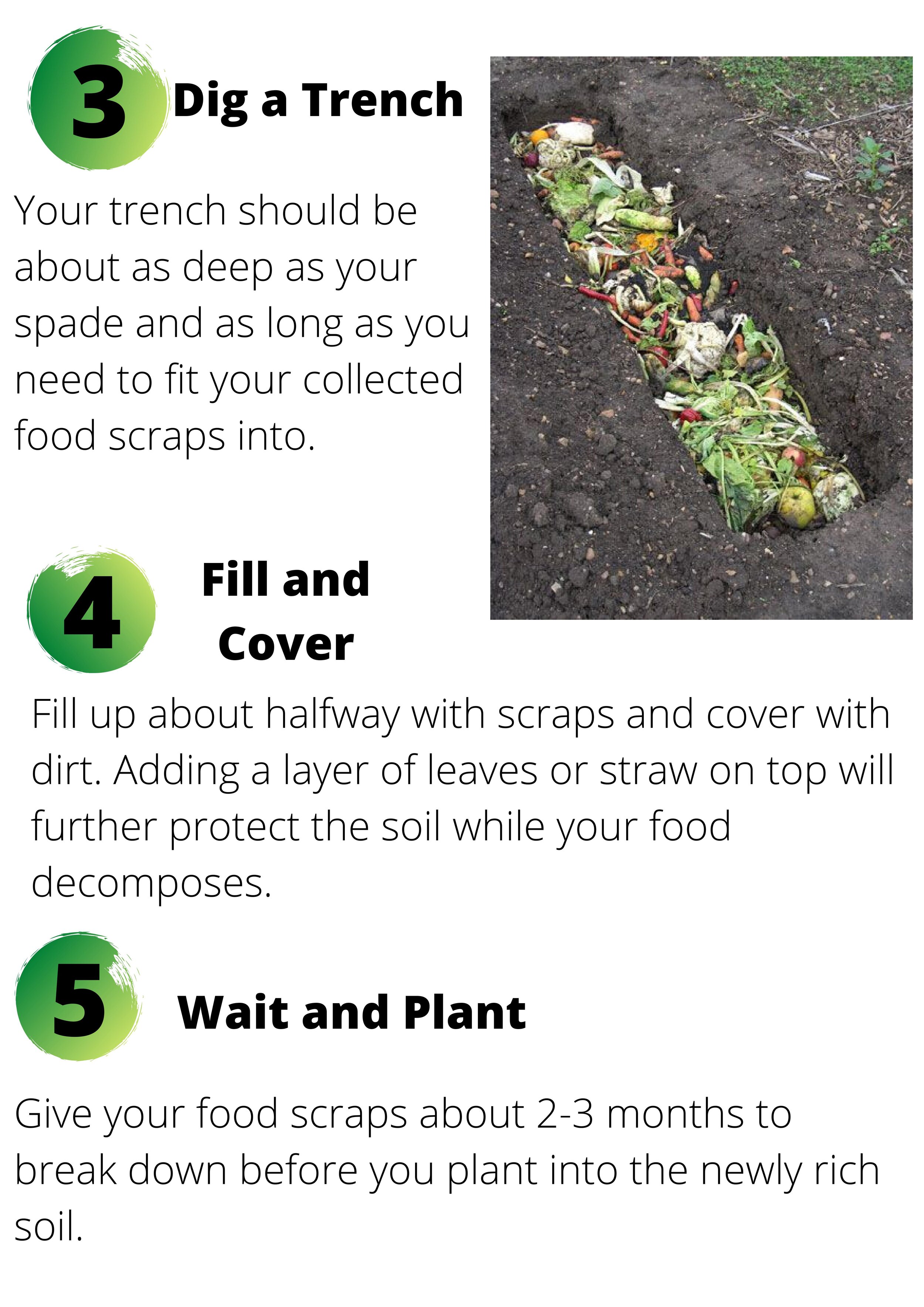 Trench composting 2.jpg