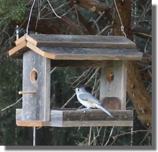 recycled bird feeder.jpg