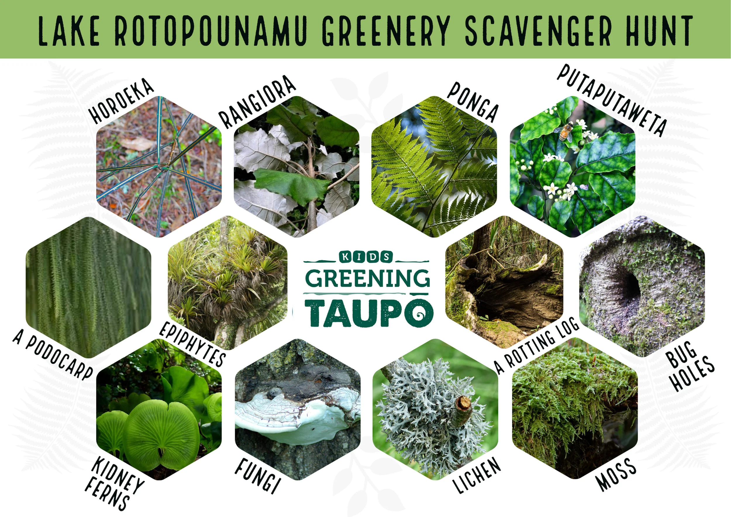 Lake Rotopounamu greenery scavenger hunt.jpg