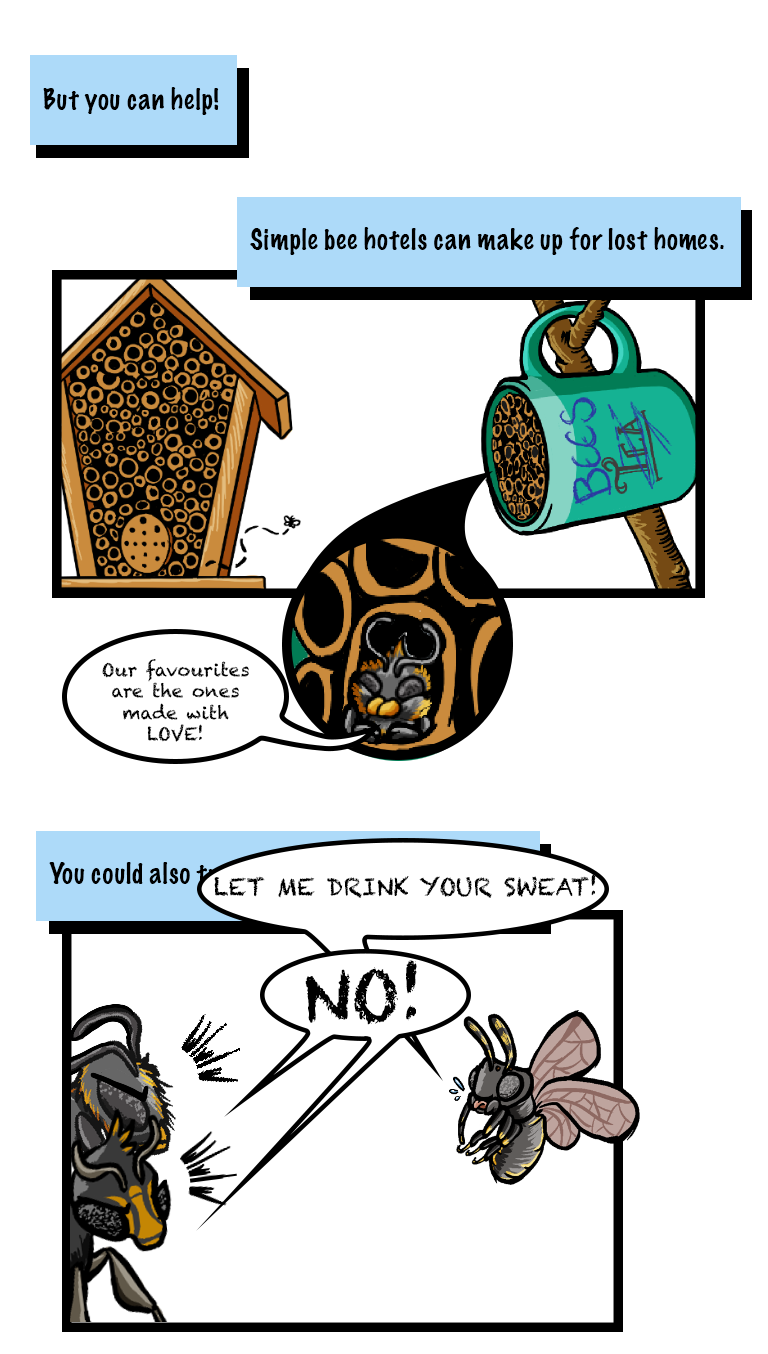 bees 7.png