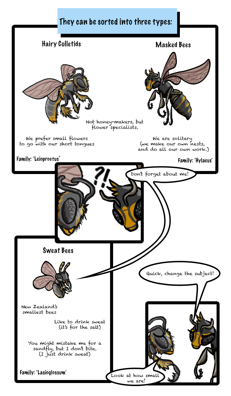 bees 2.png