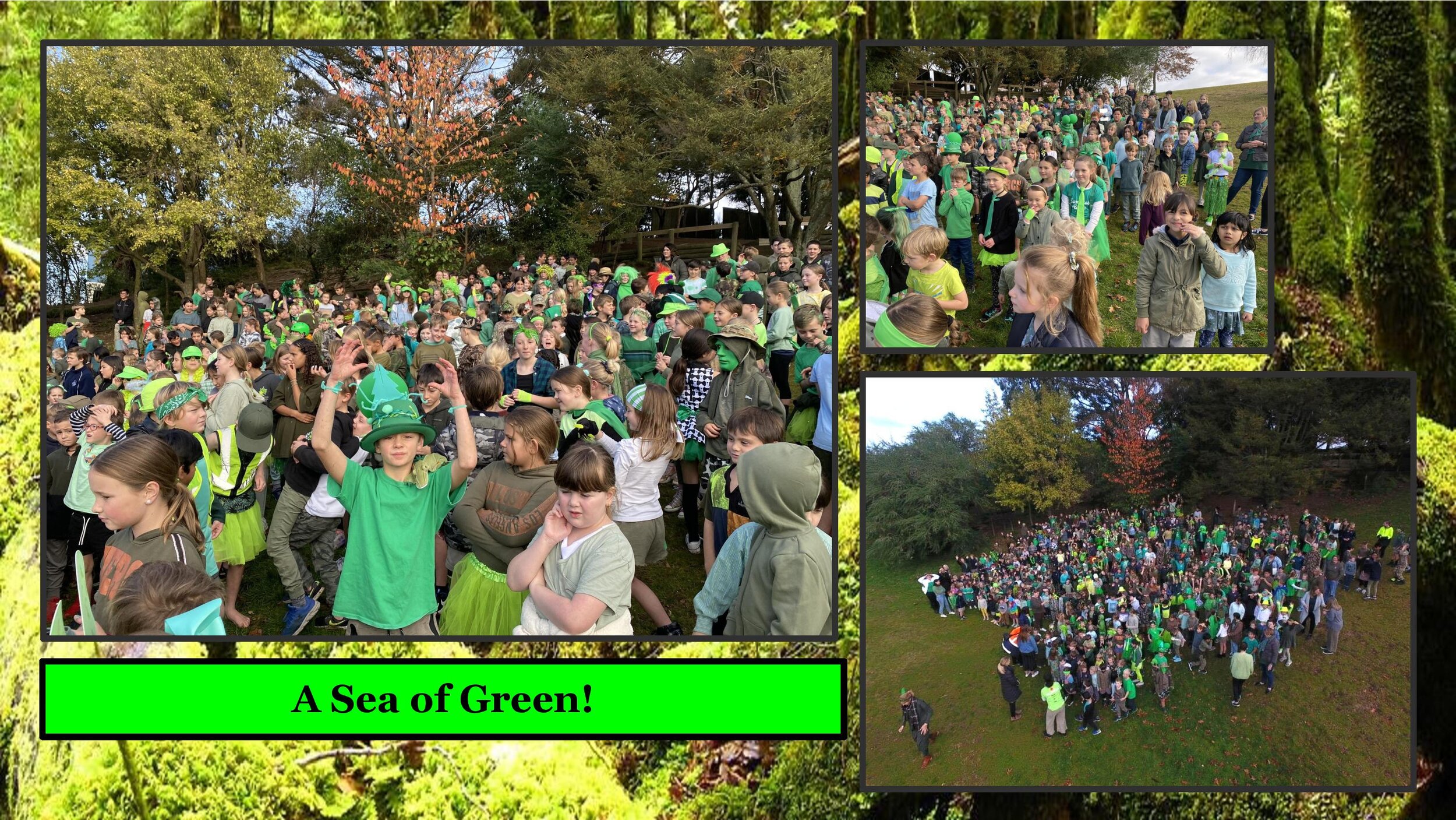 Hilltop School  Green Day (1)-page-006.jpg