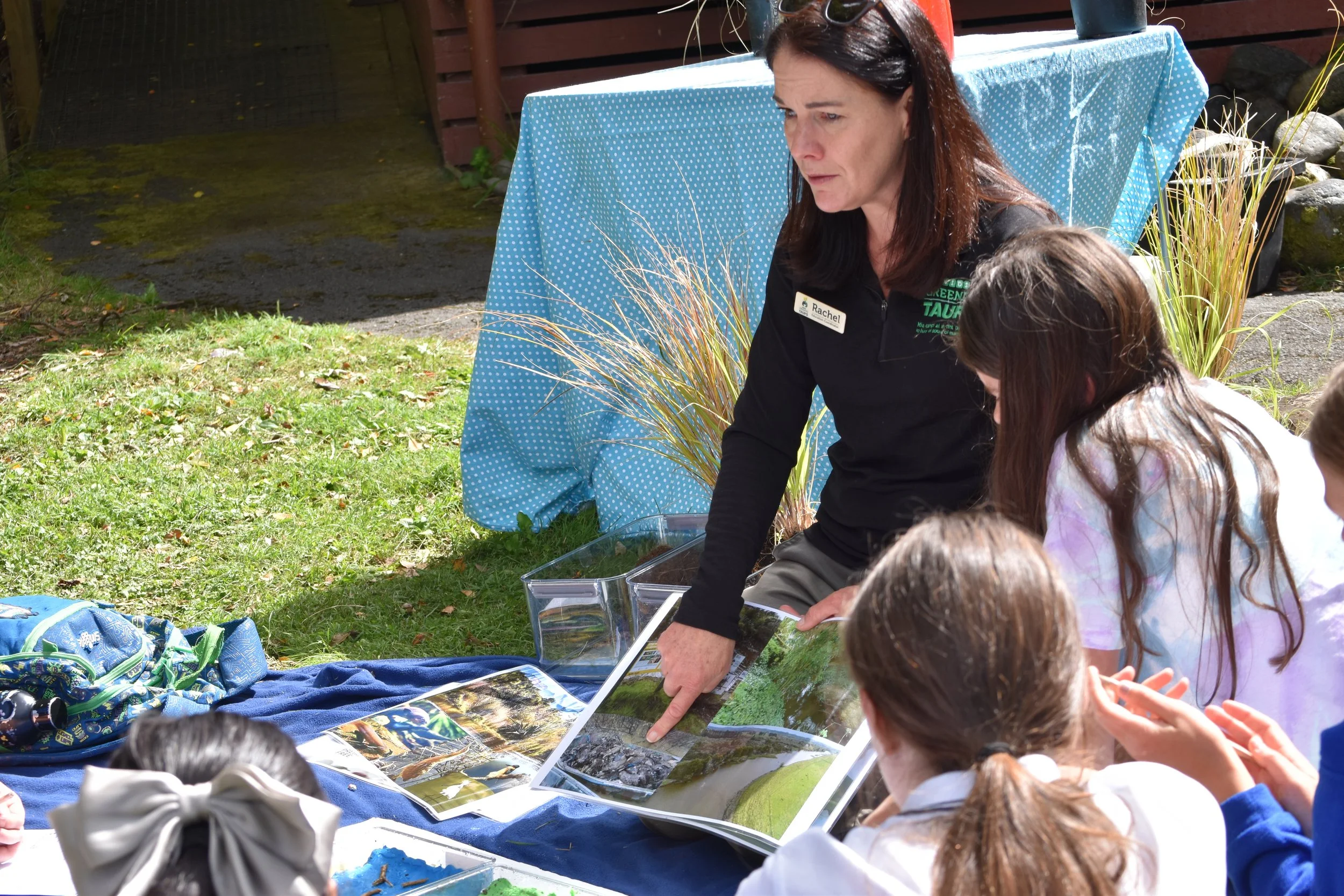 Copy of DSC_0534 - Copy.JPG