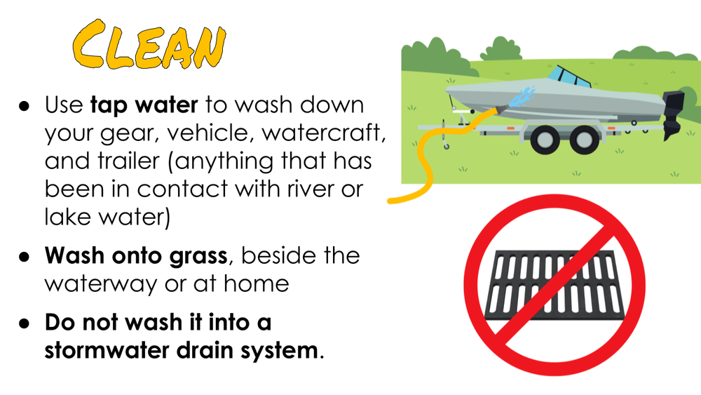 Gold Clams Biosecurity Lesson by KGT  (3).png